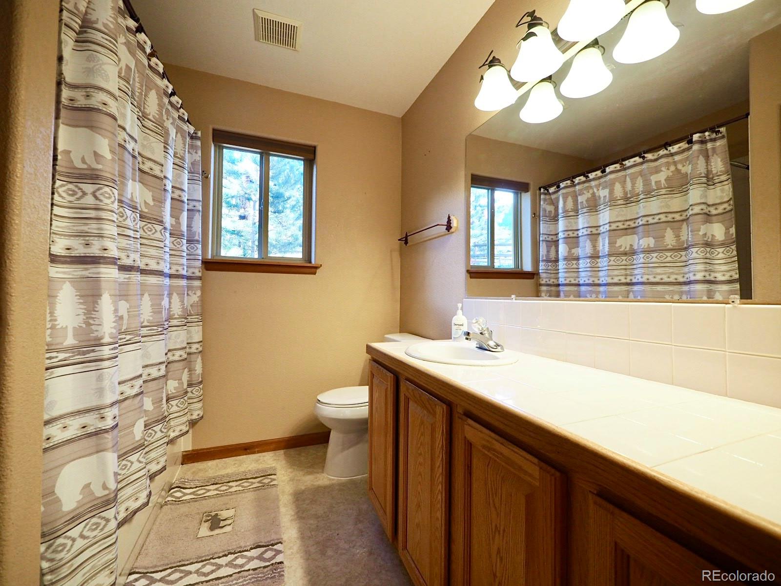 MLS Image #21 for 209  wisp creek drive,bailey, Colorado