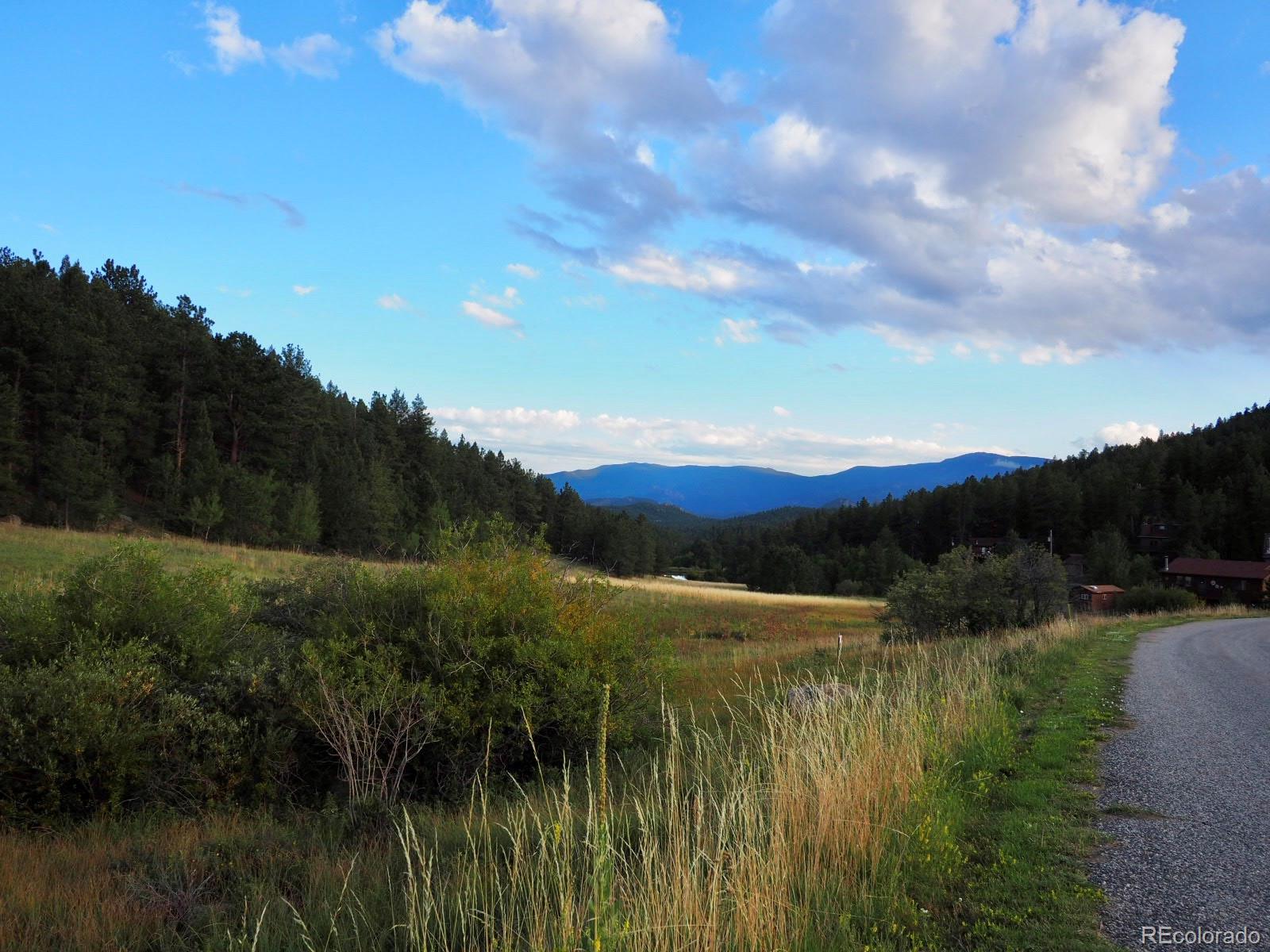 MLS Image #23 for 209  wisp creek drive,bailey, Colorado