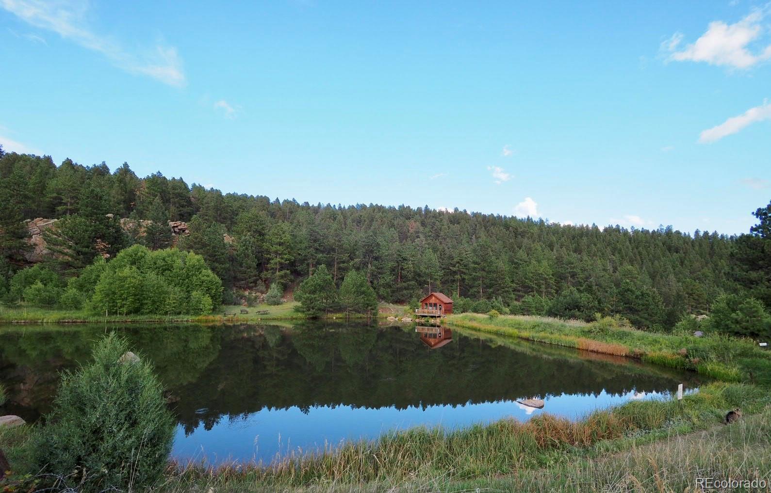 MLS Image #24 for 209  wisp creek drive,bailey, Colorado