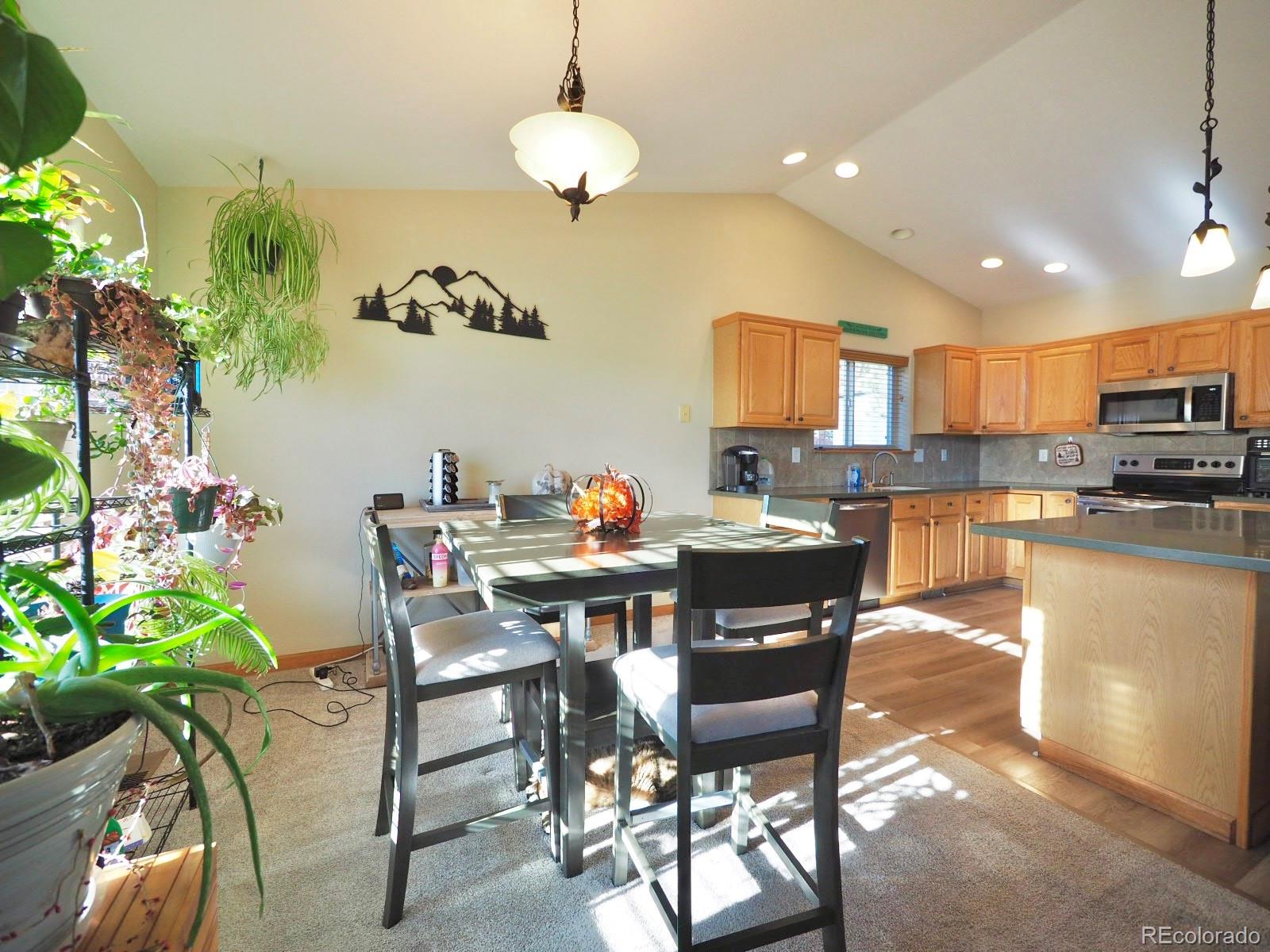 MLS Image #7 for 209  wisp creek drive,bailey, Colorado