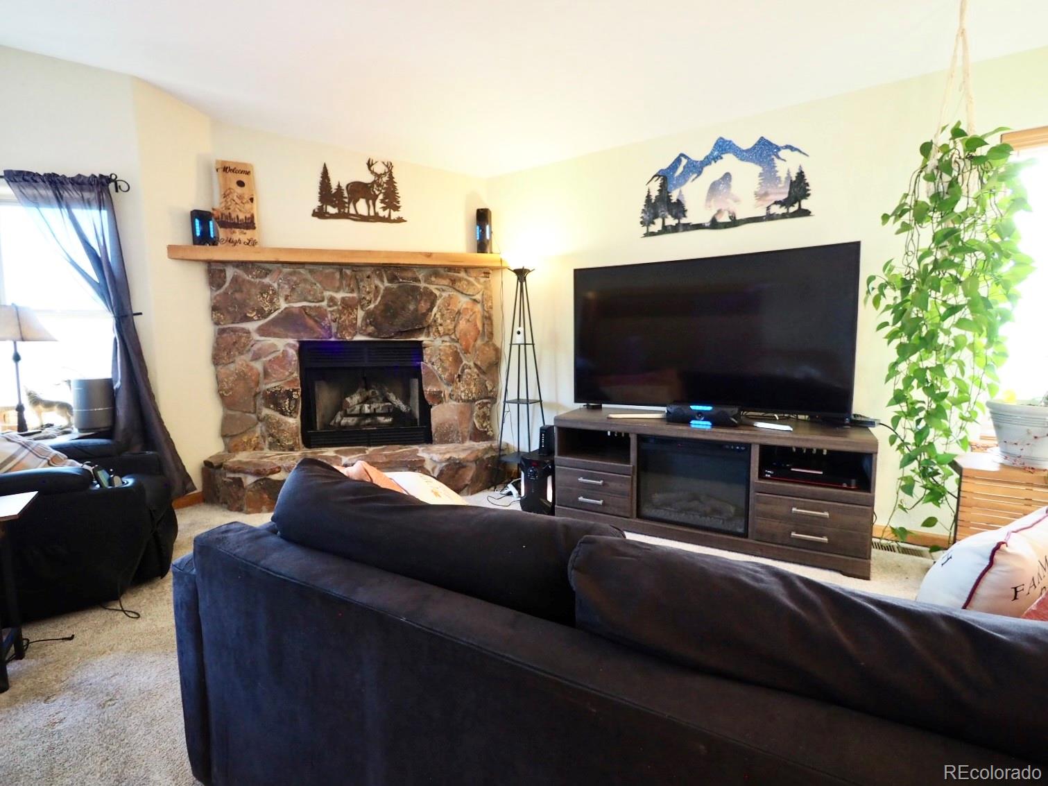 MLS Image #9 for 209  wisp creek drive,bailey, Colorado