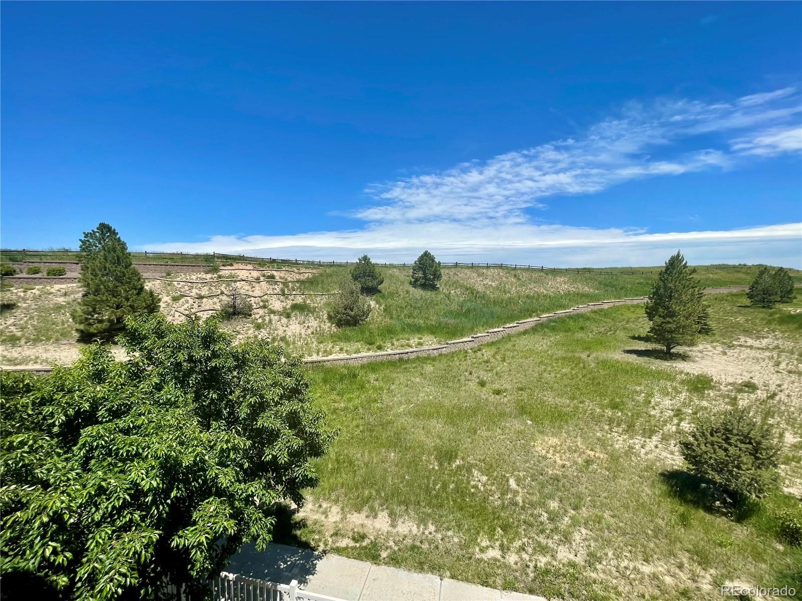 MLS Image #3 for 3892  pecos trail,castle rock, Colorado