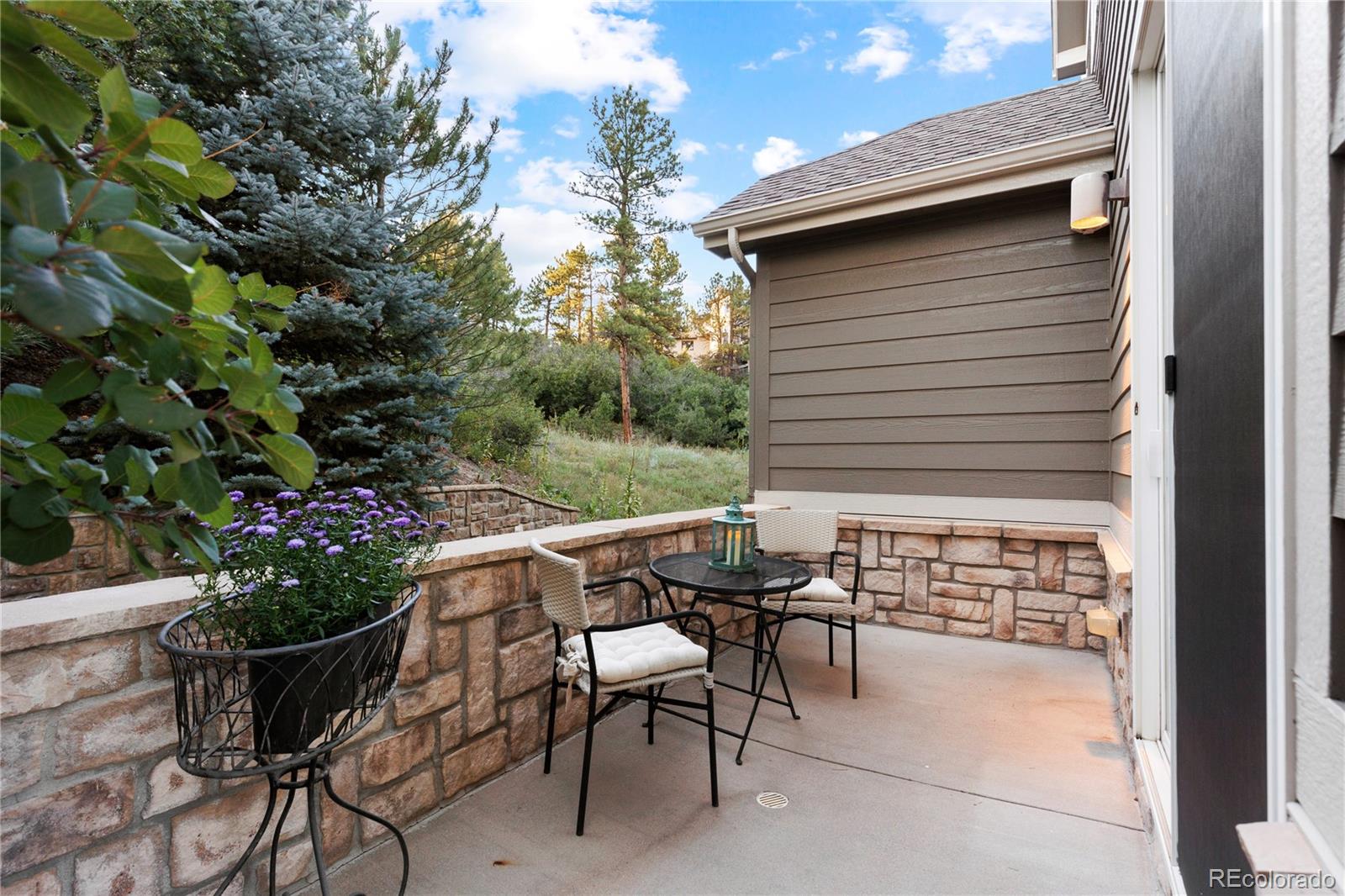 MLS Image #42 for 4207  morning star drive,castle rock, Colorado