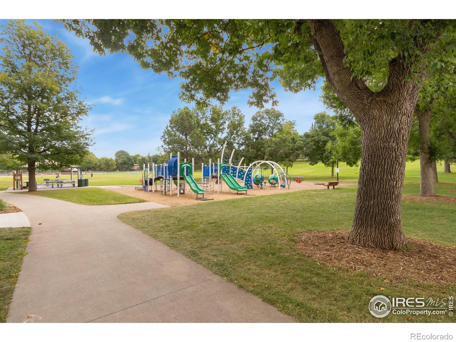 MLS Image #18 for 517  columbia road,fort collins, Colorado