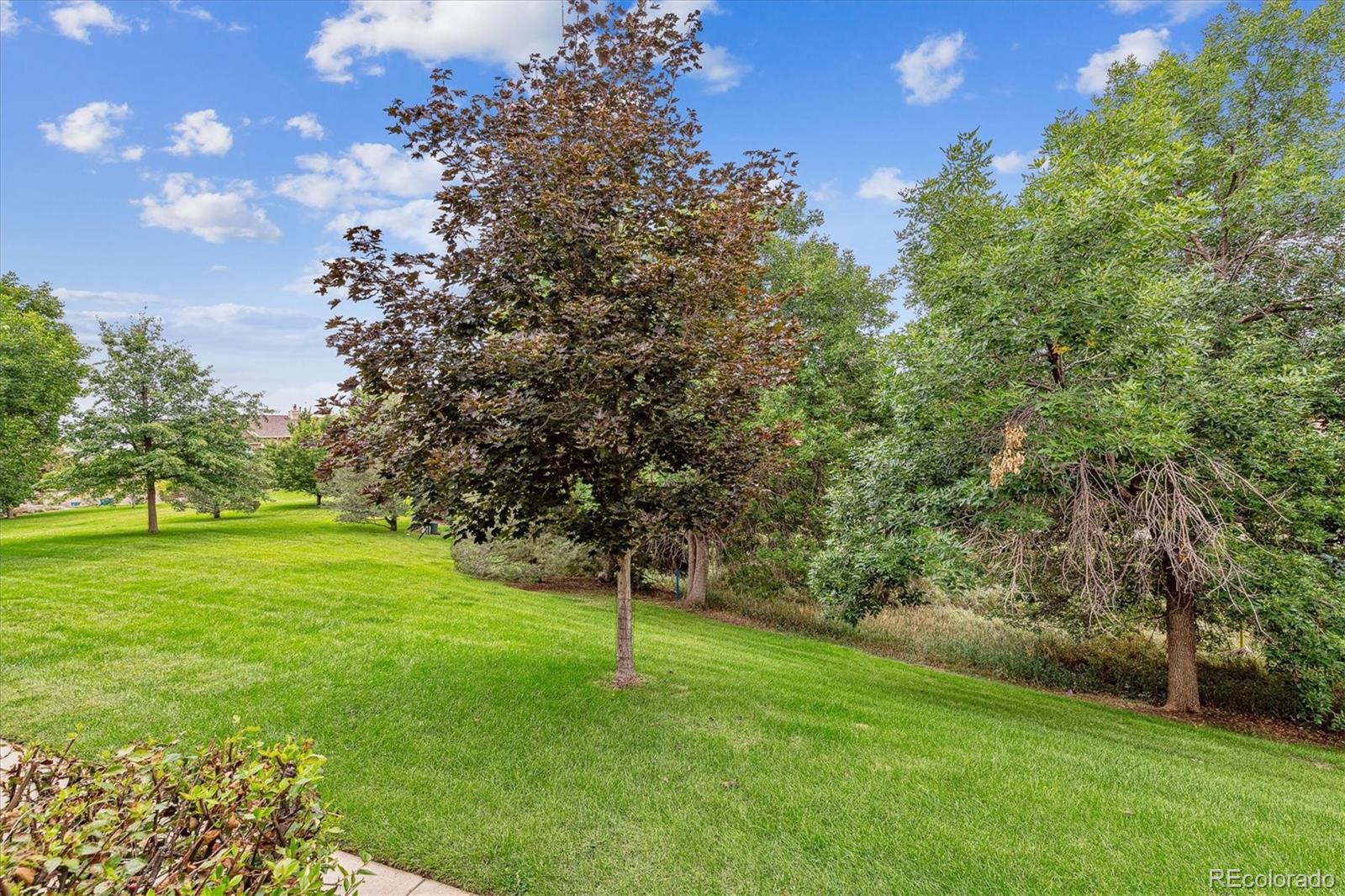 MLS Image #25 for 4166 s mobile circle,aurora, Colorado