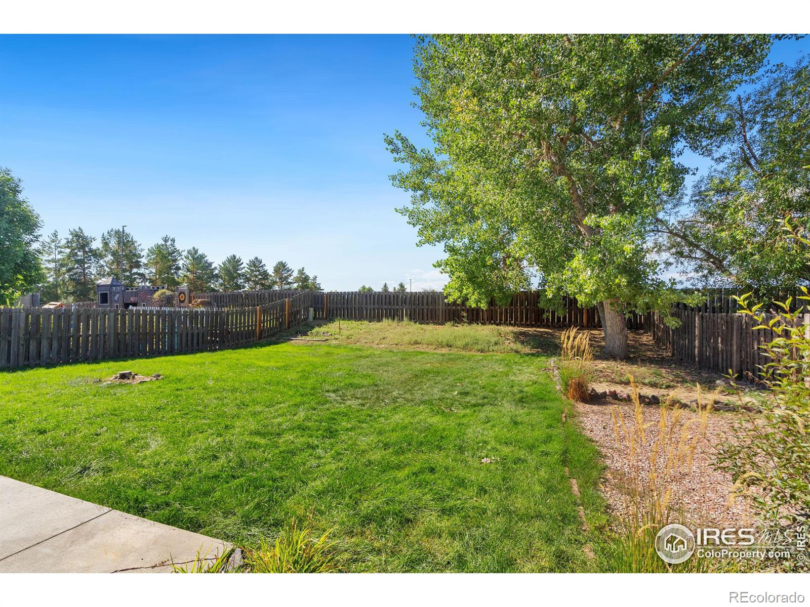 MLS Image #36 for 401  aurora way,fort collins, Colorado