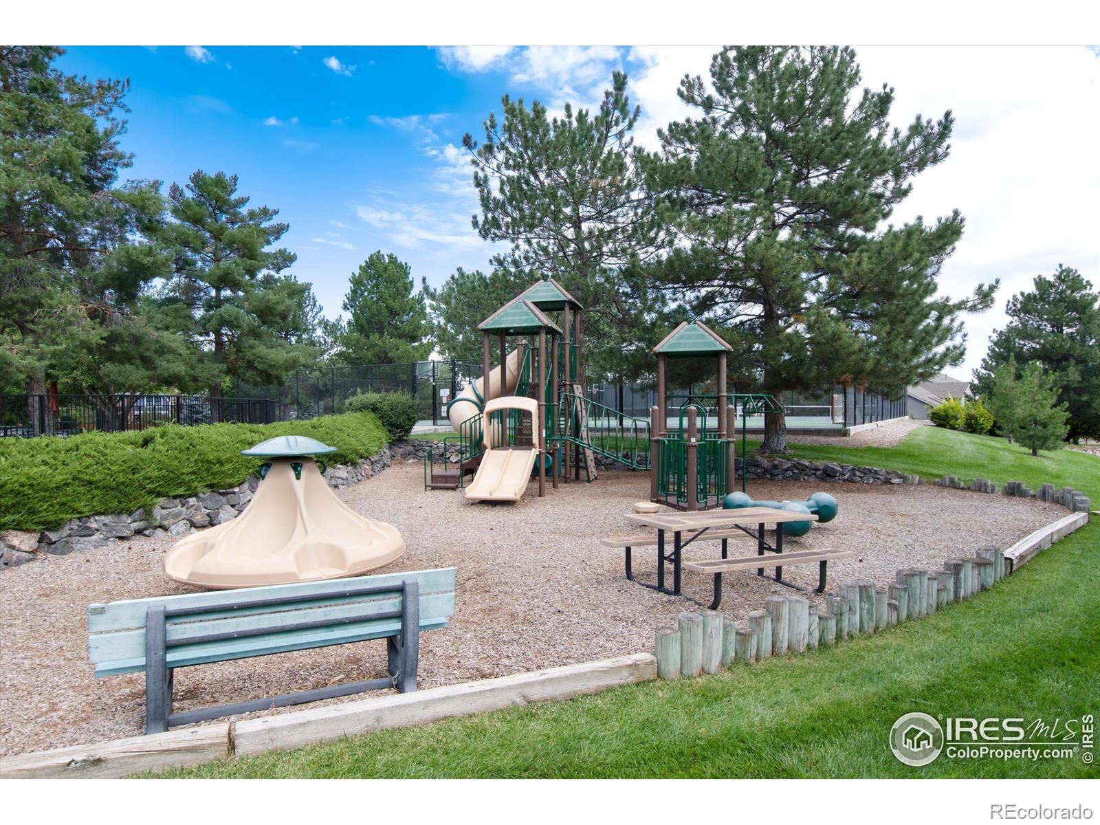 MLS Image #39 for 617  sherman street,castle pines, Colorado