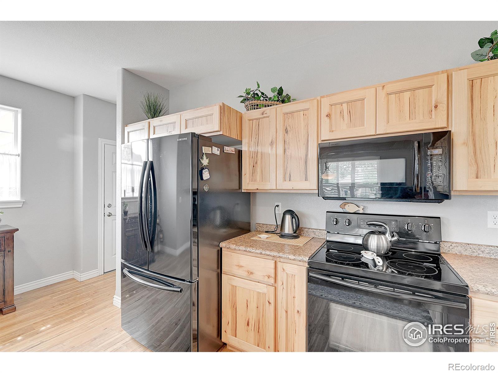 MLS Image #8 for 1222  inca dove circle,loveland, Colorado