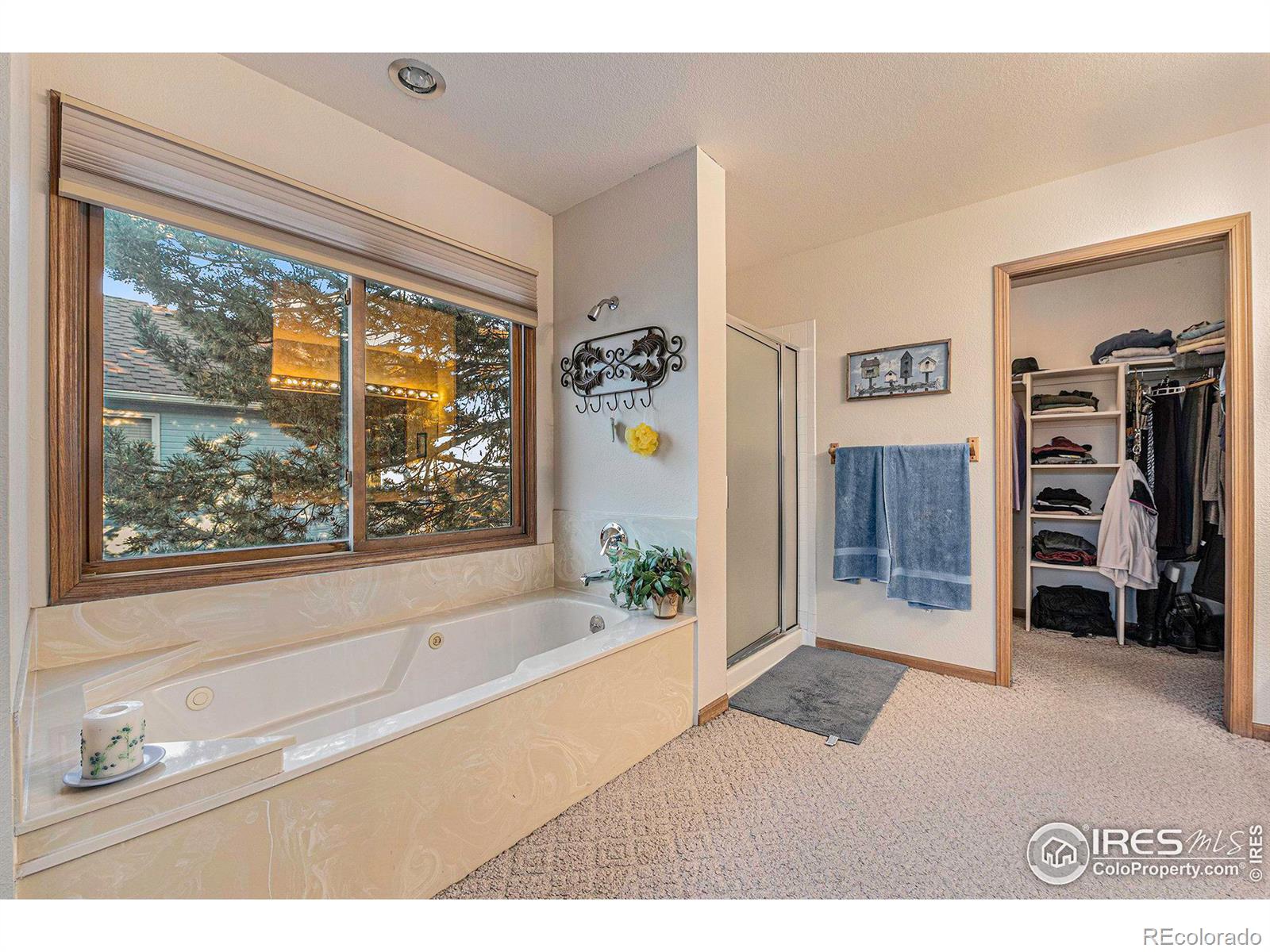 MLS Image #17 for 2413  mapleton circle,longmont, Colorado