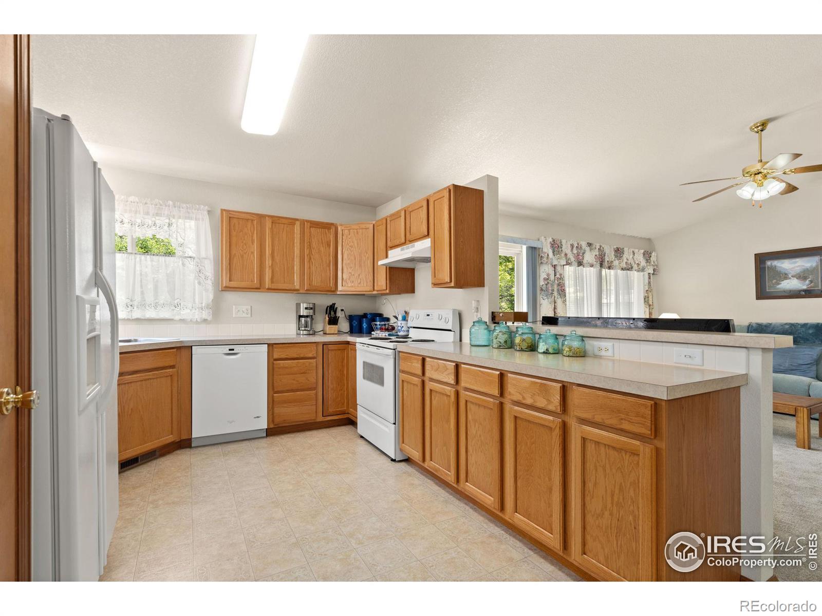 MLS Image #12 for 632  lavastone avenue,loveland, Colorado