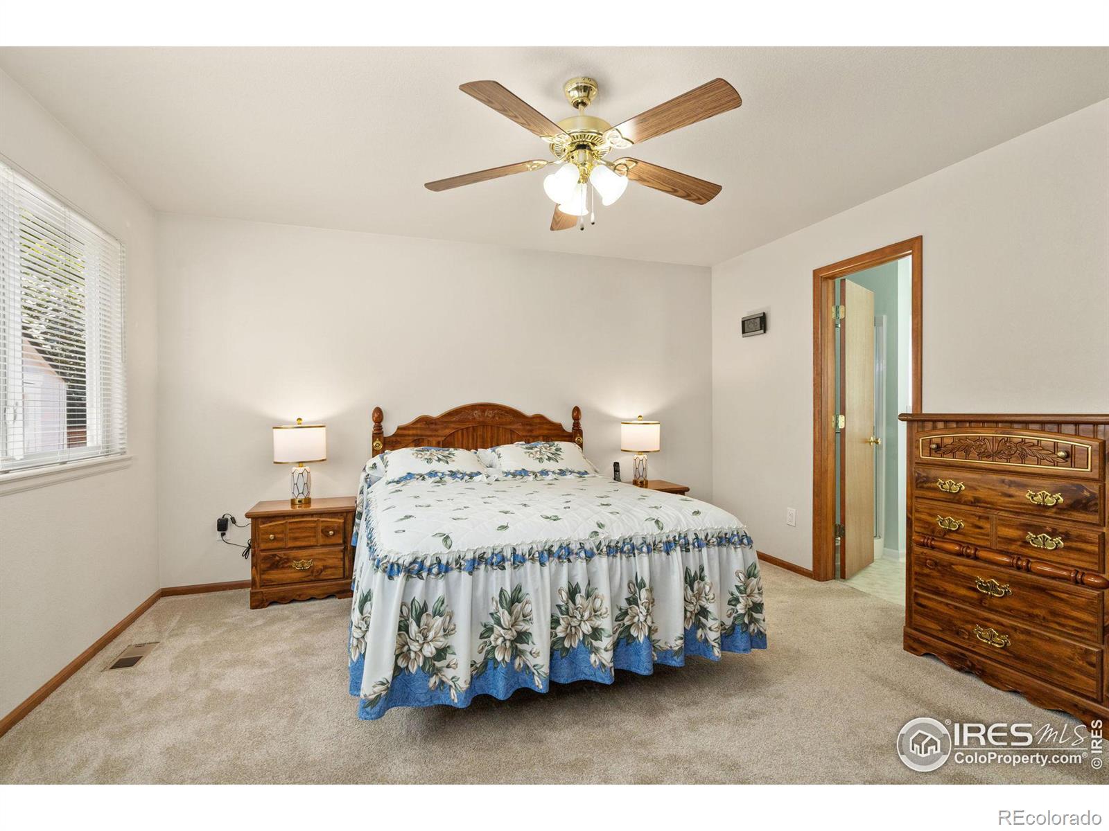 MLS Image #14 for 632  lavastone avenue,loveland, Colorado