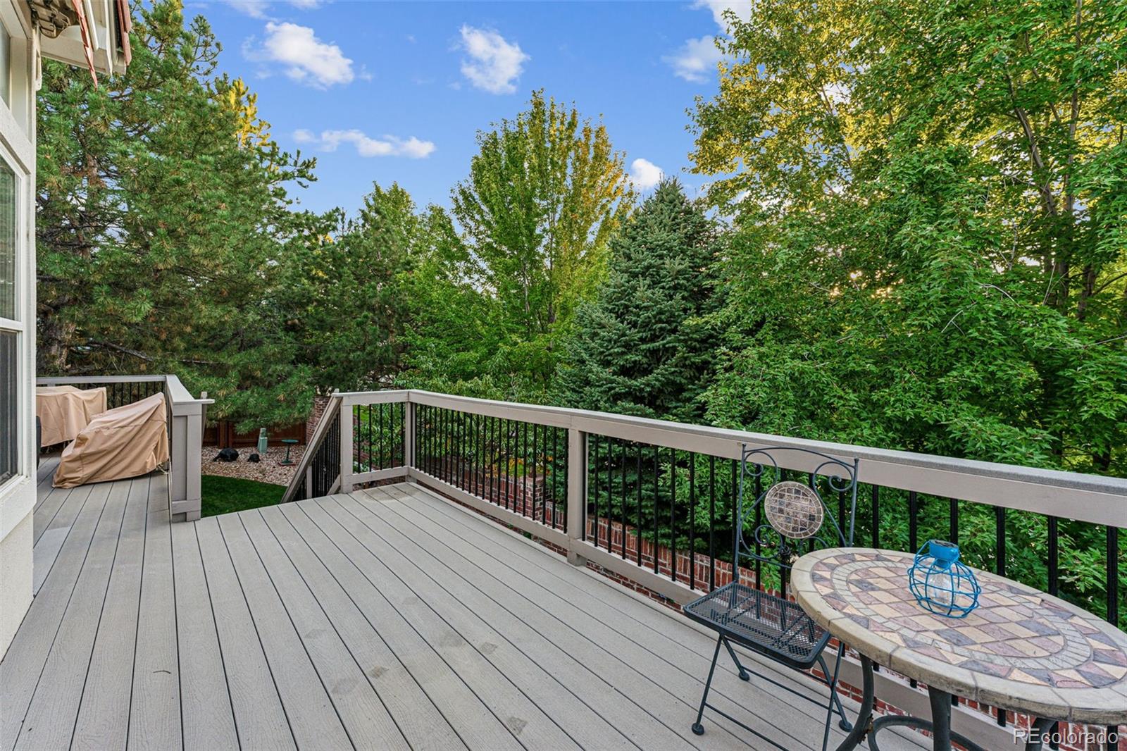 MLS Image #43 for 9683  kings mill lane,lone tree, Colorado