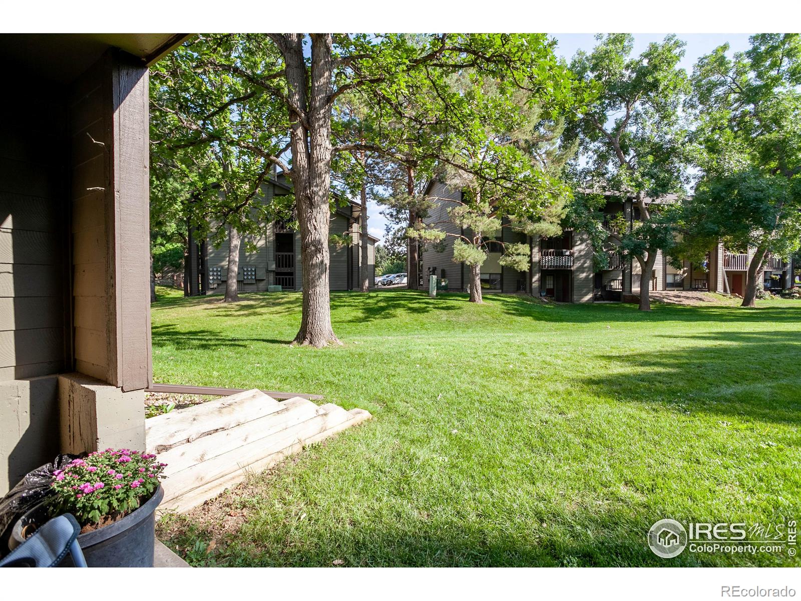 MLS Image #16 for 925  columbia road,fort collins, Colorado