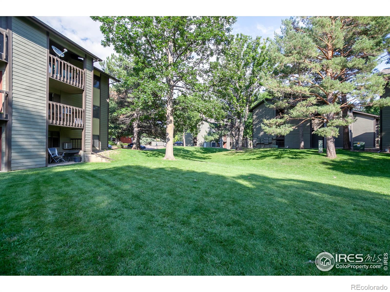 MLS Image #17 for 925  columbia road,fort collins, Colorado