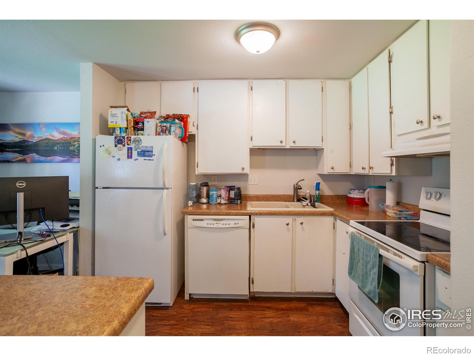 MLS Image #8 for 925  columbia road,fort collins, Colorado