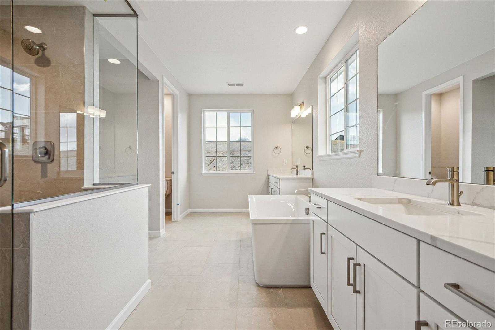 MLS Image #2 for 3350  backdrop court,castle rock, Colorado