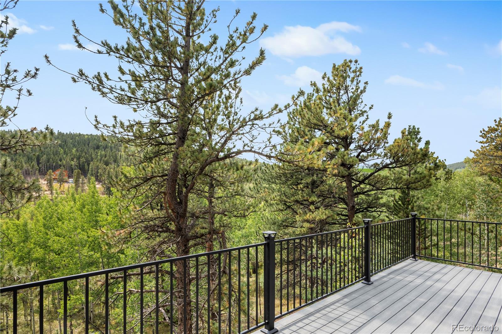 MLS Image #12 for 586 n dory lakes drive,black hawk, Colorado