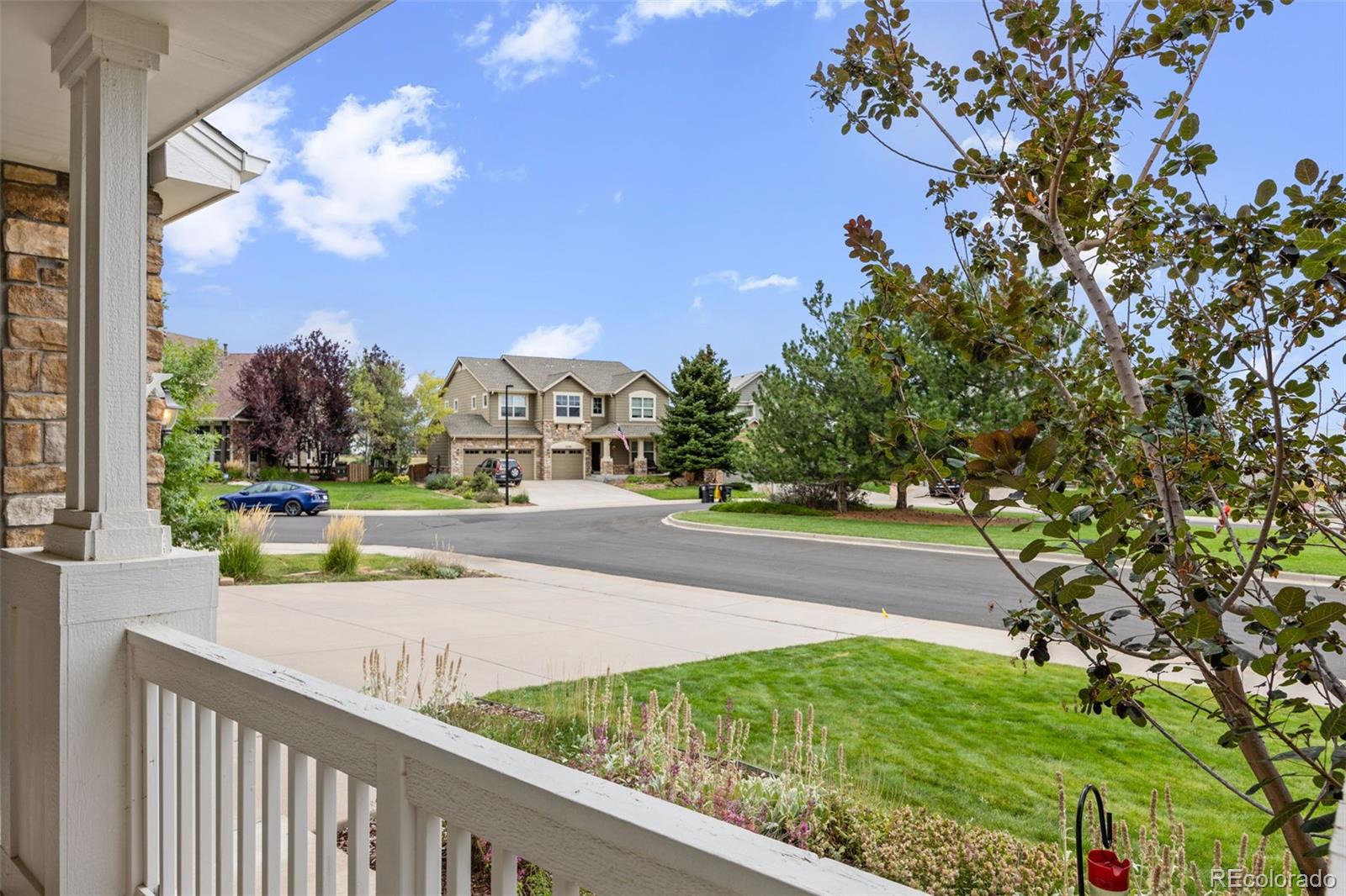 MLS Image #3 for 23212  song bird hills way,parker, Colorado