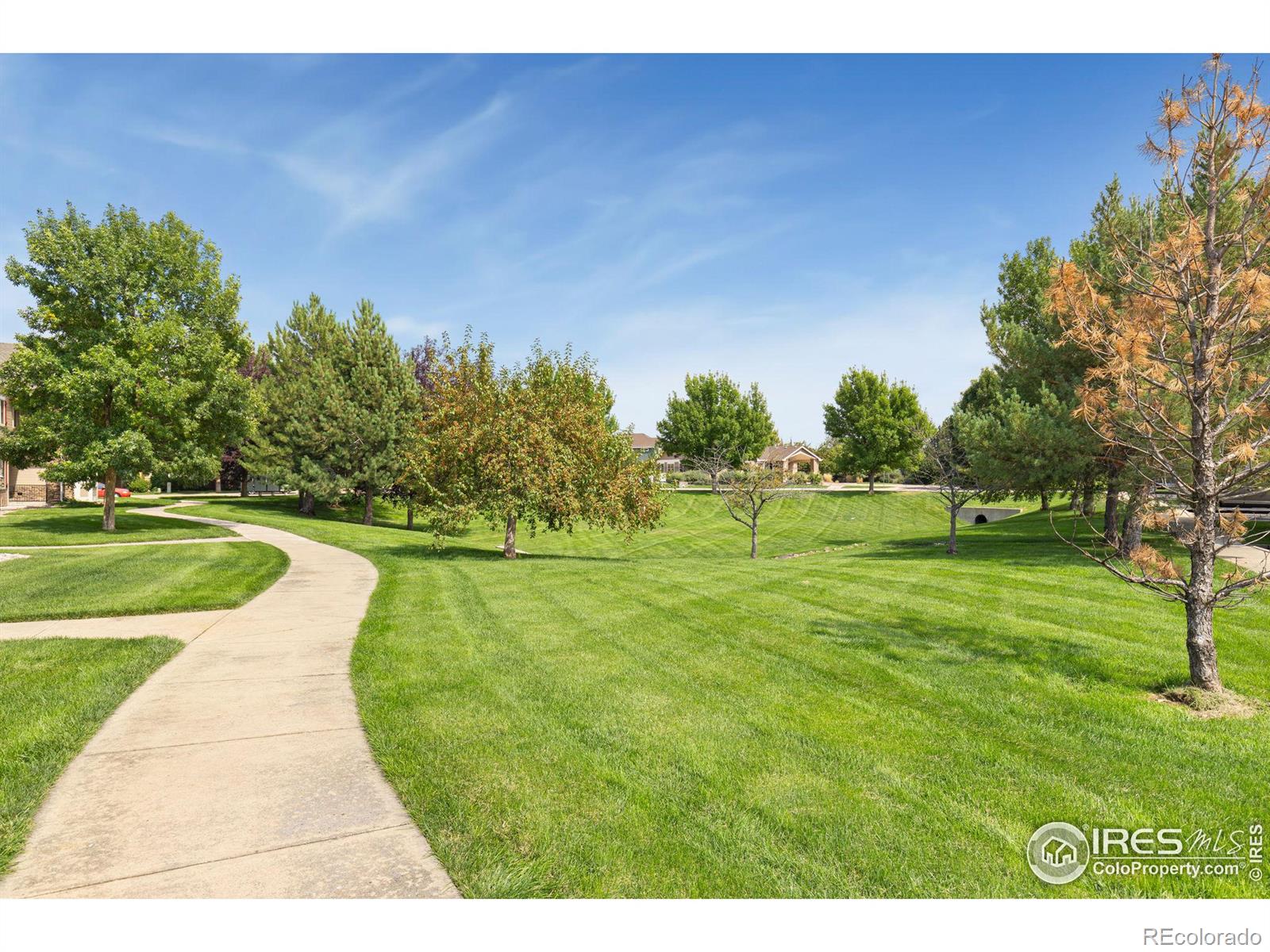 MLS Image #32 for 3476  oberon drive,loveland, Colorado