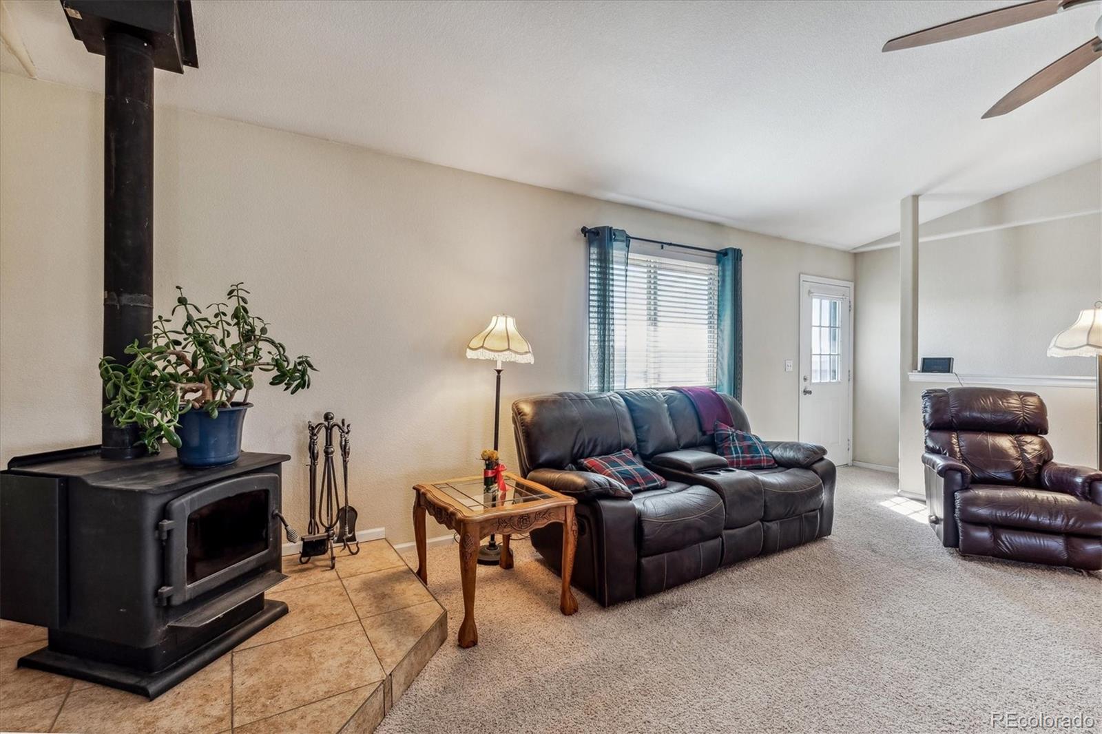 MLS Image #13 for 26490  flower circle,simla, Colorado