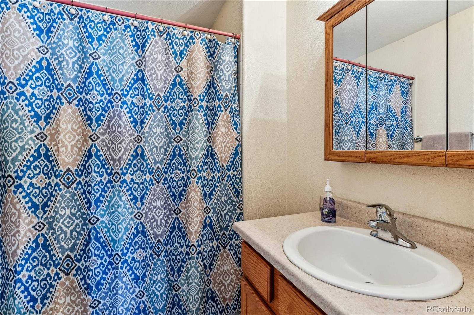 MLS Image #17 for 26490  flower circle,simla, Colorado