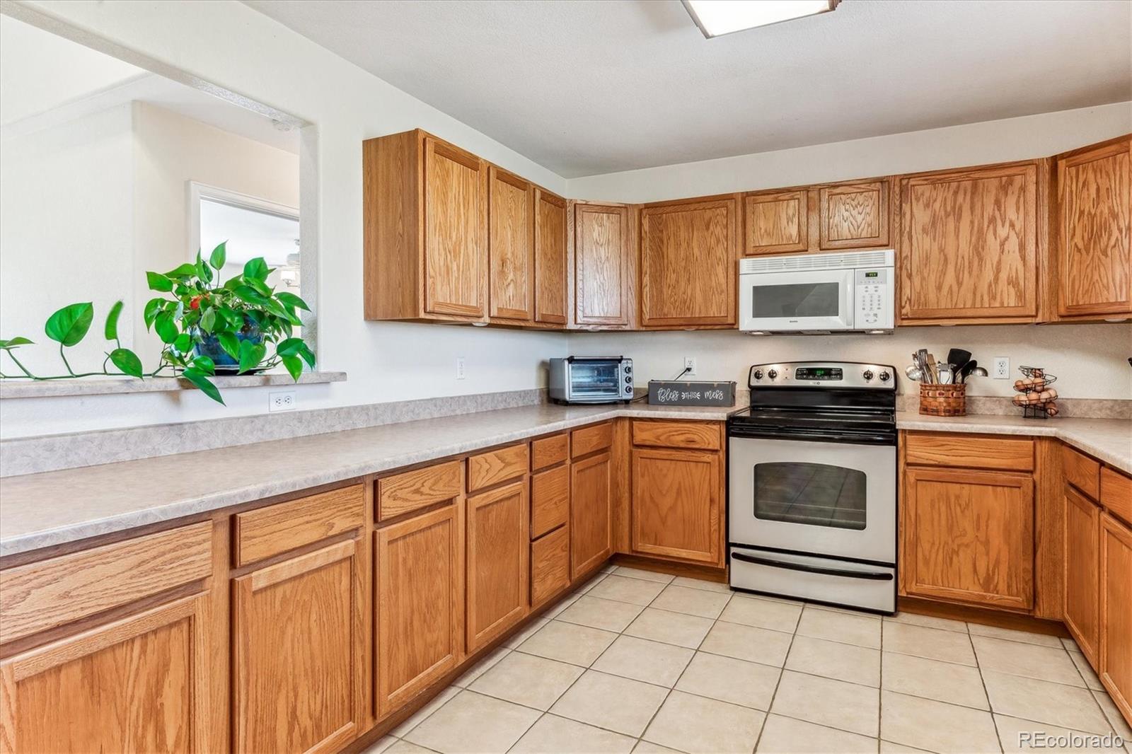 MLS Image #3 for 26490  flower circle,simla, Colorado