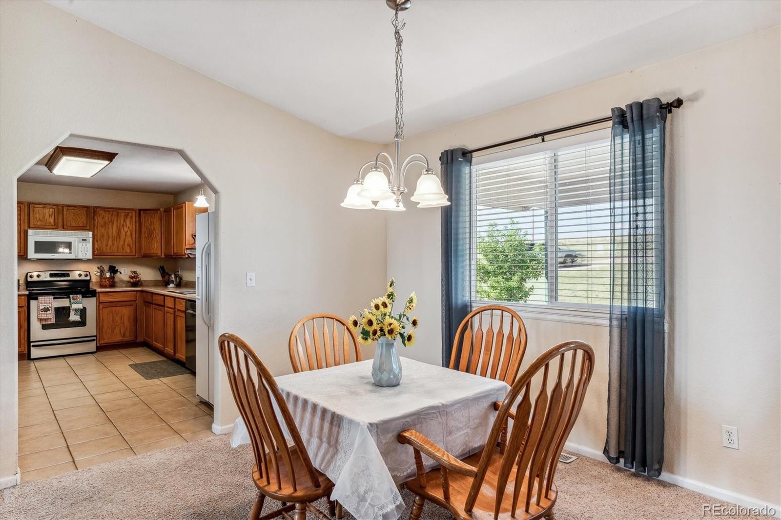MLS Image #7 for 26490  flower circle,simla, Colorado