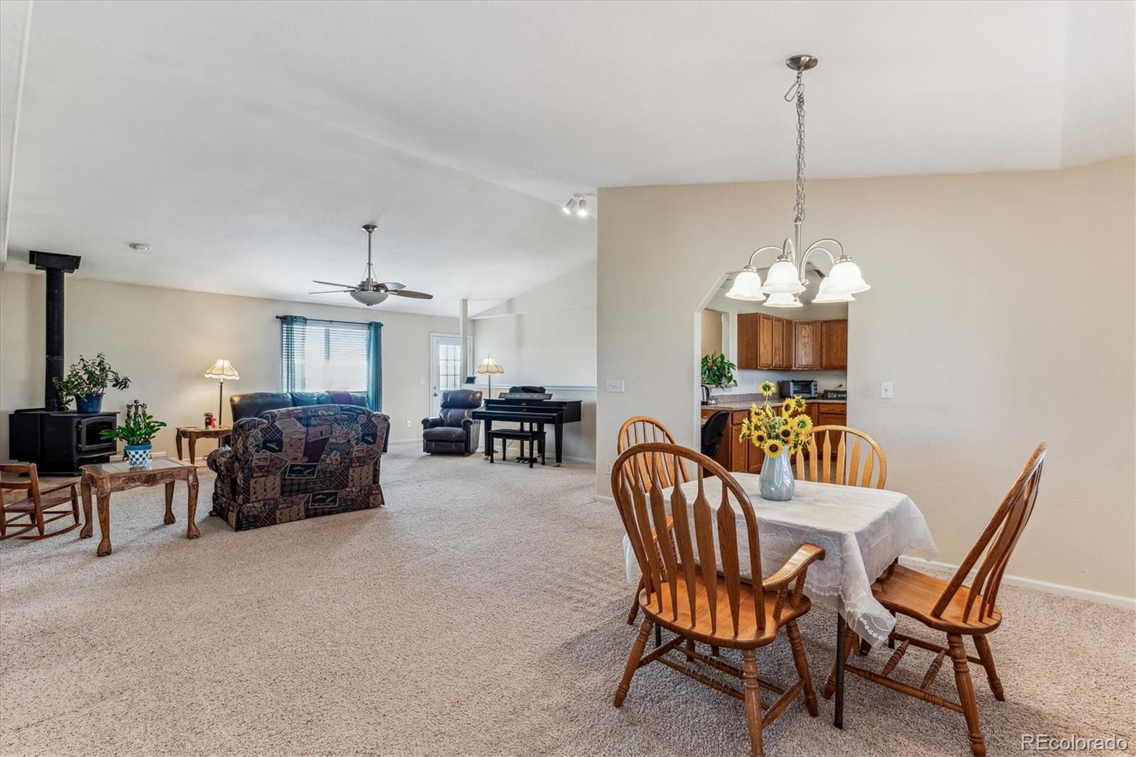 MLS Image #9 for 26490  flower circle,simla, Colorado