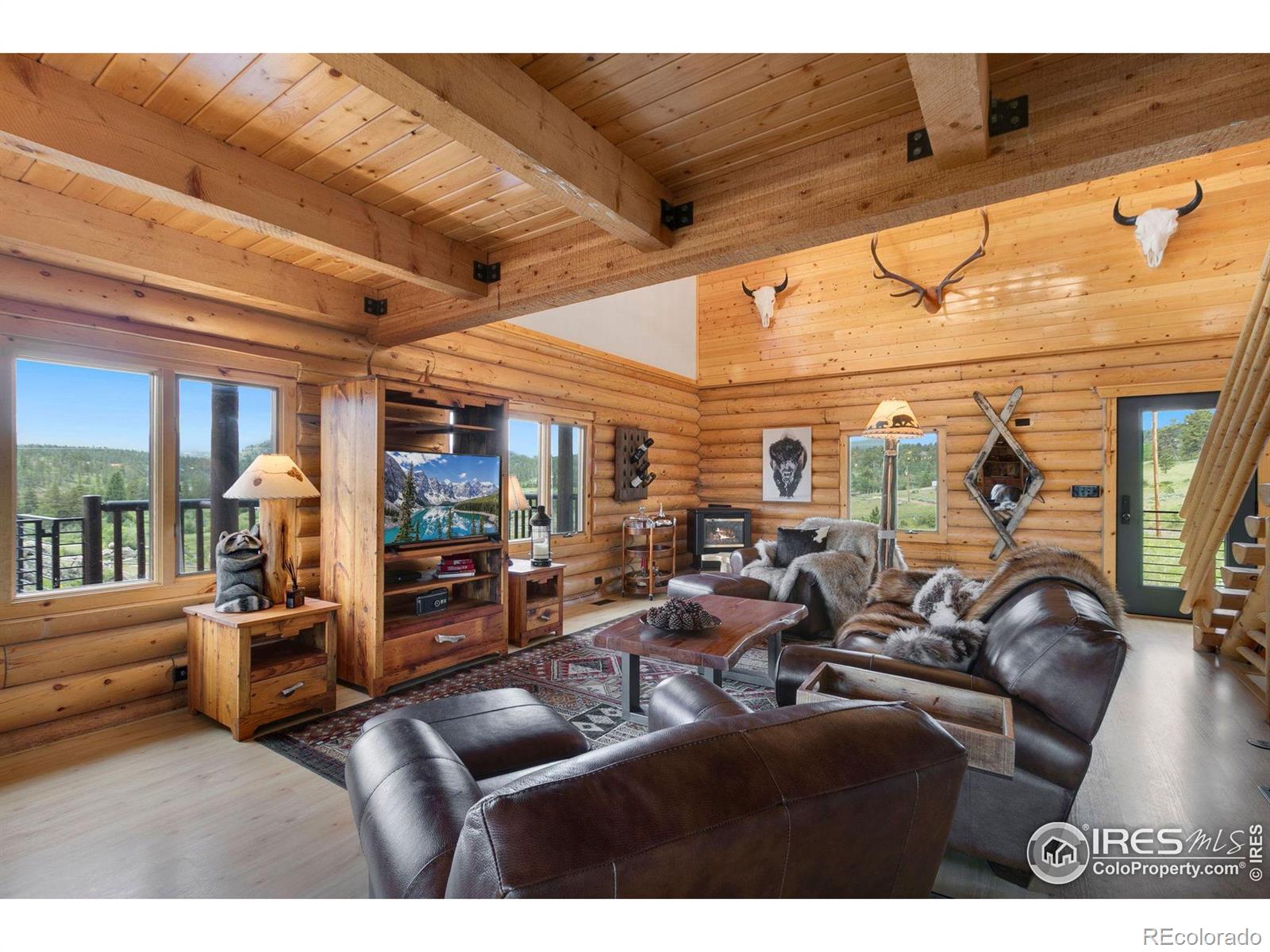 MLS Image #11 for 357  navajo road,red feather lakes, Colorado