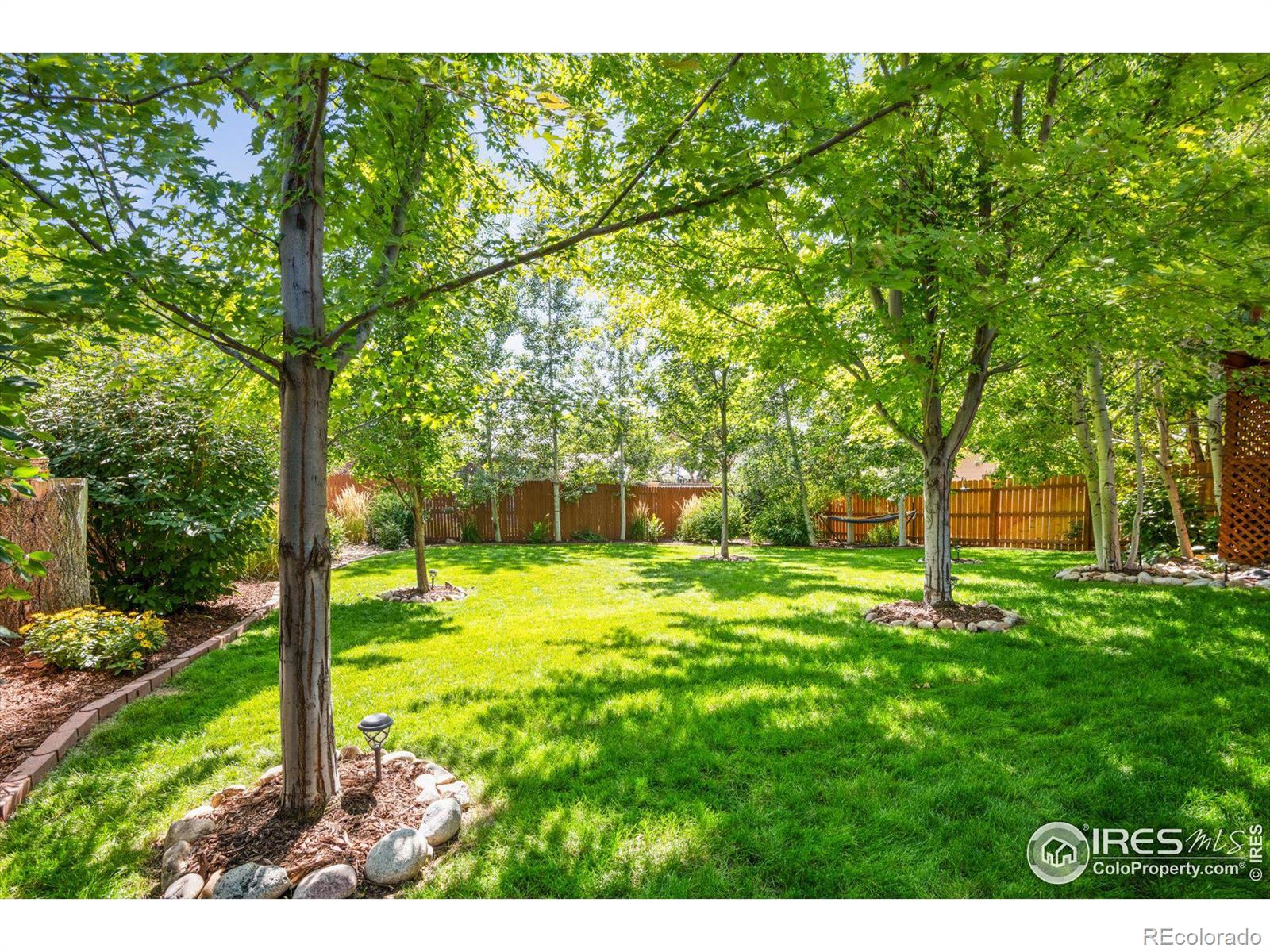 MLS Image #30 for 434  buchanan avenue,firestone, Colorado