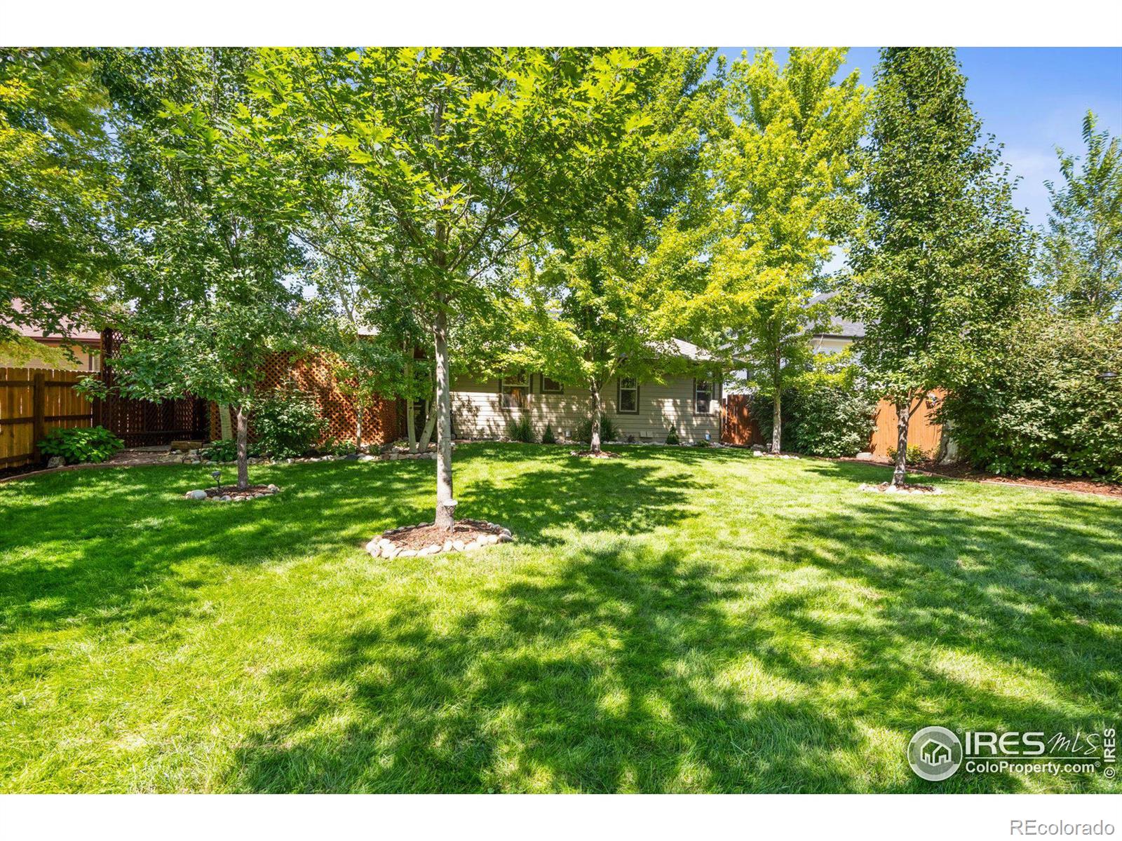 MLS Image #31 for 434  buchanan avenue,firestone, Colorado