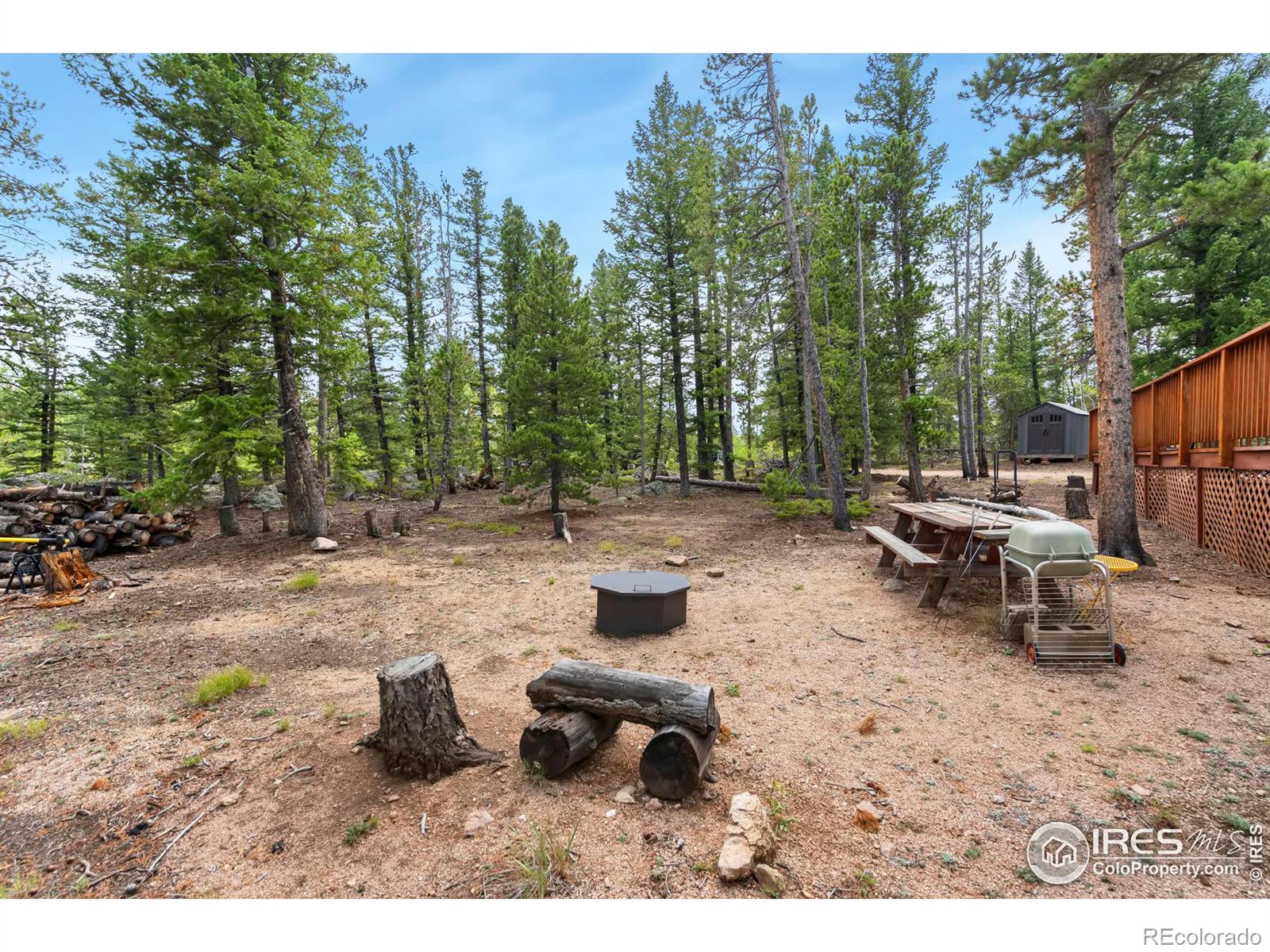 MLS Image #33 for 535  chiricahua circle,red feather lakes, Colorado