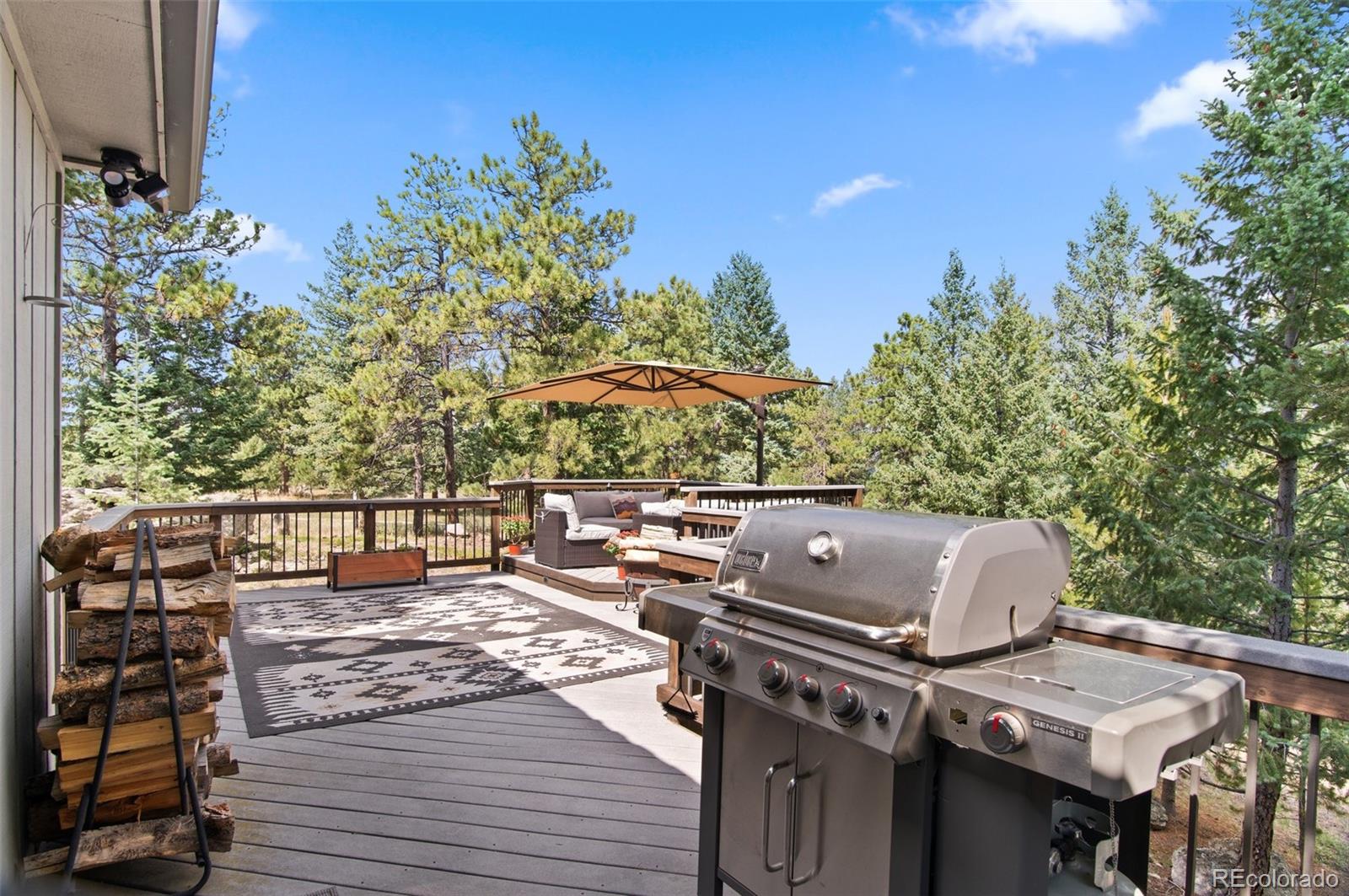 MLS Image #3 for 6440  kilimanjaro drive,evergreen, Colorado