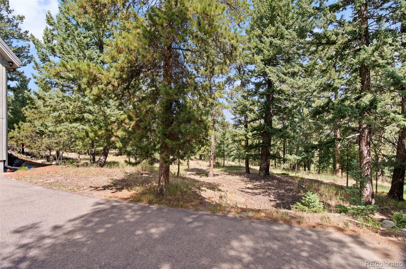 MLS Image #38 for 6440  kilimanjaro drive,evergreen, Colorado