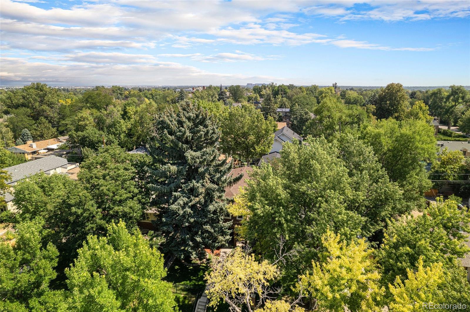 MLS Image #30 for 1250  oneida street,denver, Colorado