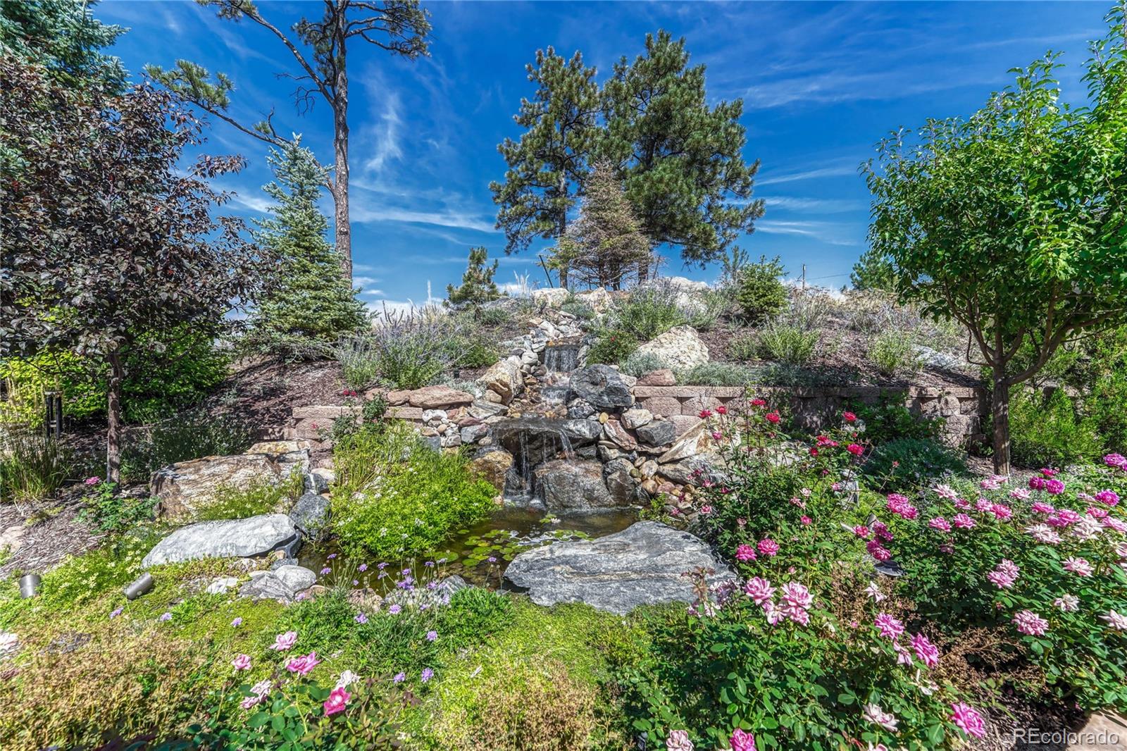 MLS Image #34 for 20125 e shady ridge road,parker, Colorado