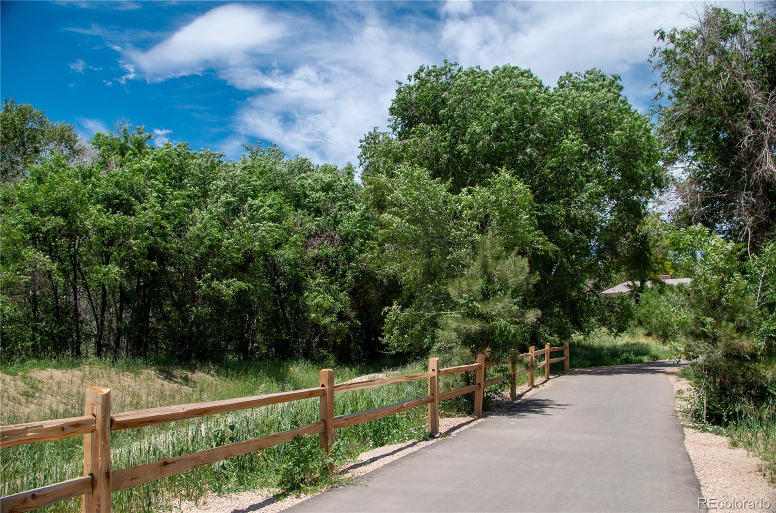 MLS Image #36 for 4220  leyden lane,colorado springs, Colorado