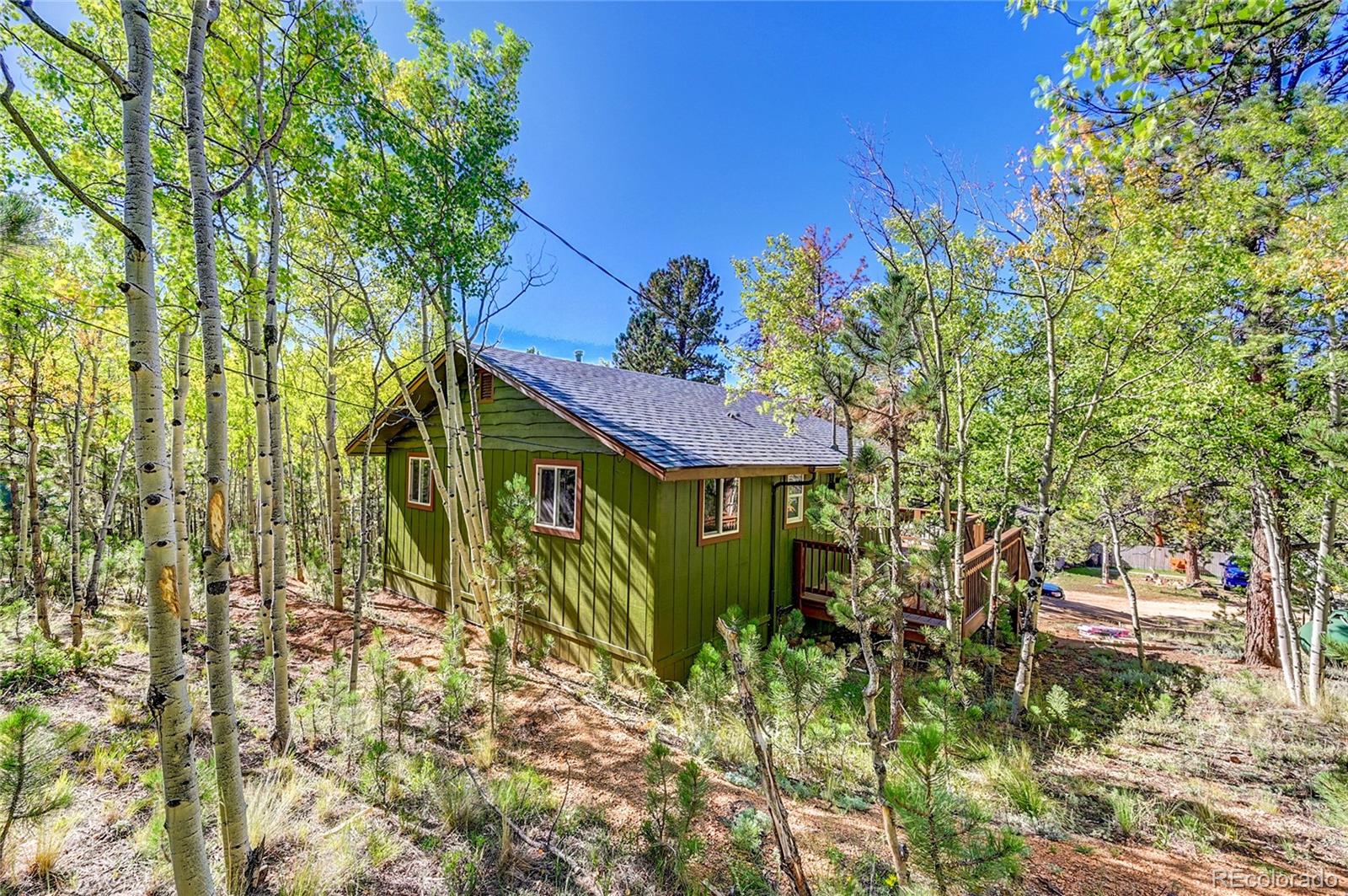 MLS Image #3 for 304  houston street,bailey, Colorado