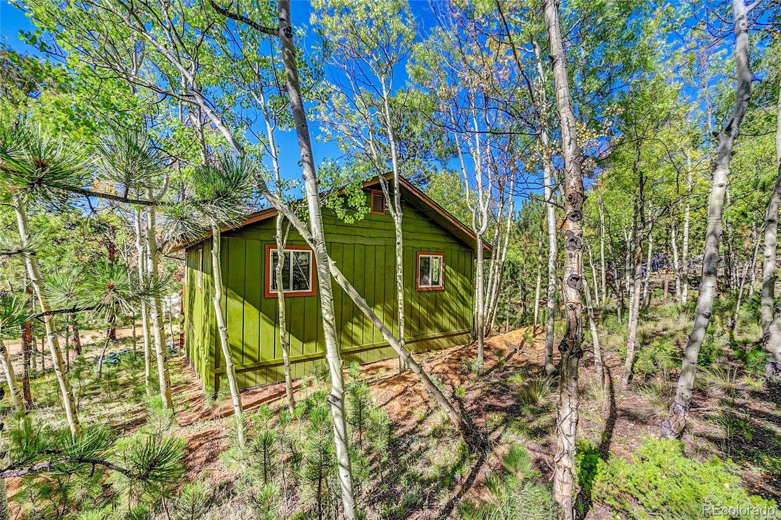 MLS Image #38 for 304  houston street,bailey, Colorado