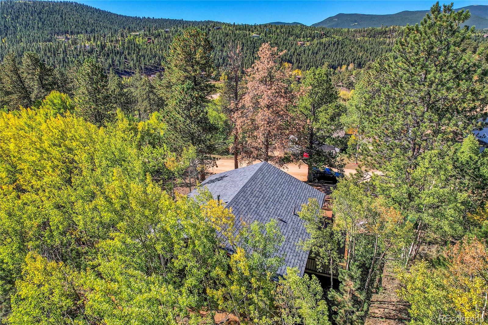 MLS Image #39 for 304  houston street,bailey, Colorado