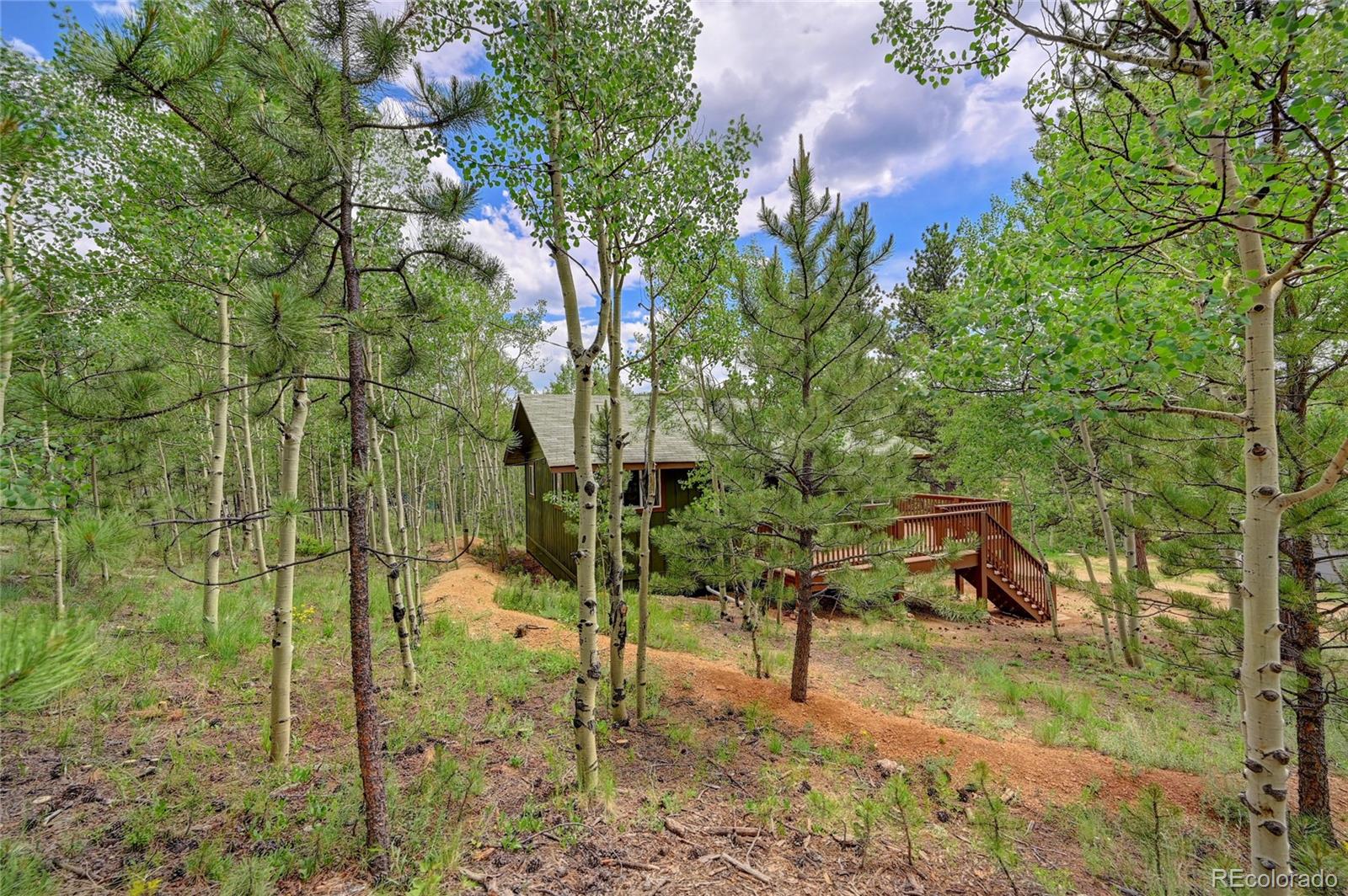 MLS Image #4 for 304  houston street,bailey, Colorado