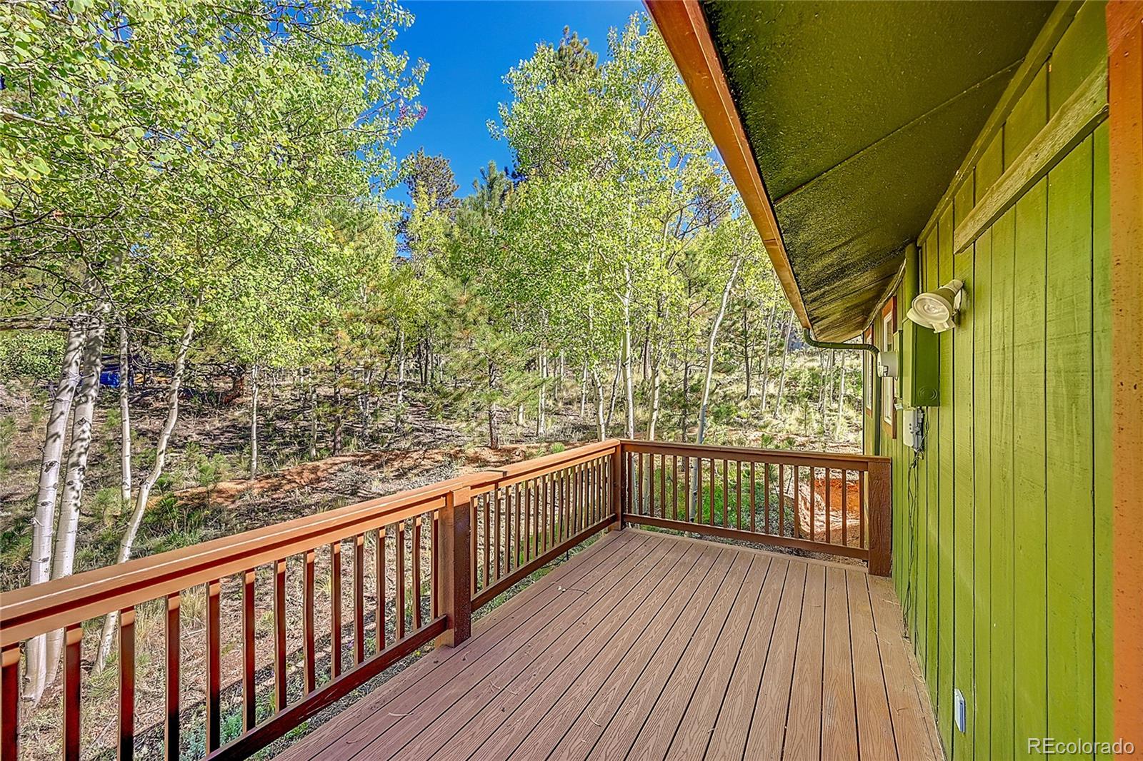 MLS Image #8 for 304  houston street,bailey, Colorado