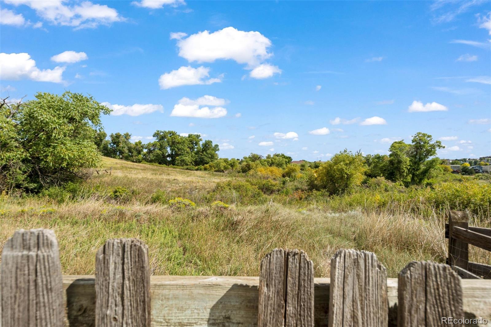 MLS Image #28 for 21902  saddlebrook court,parker, Colorado