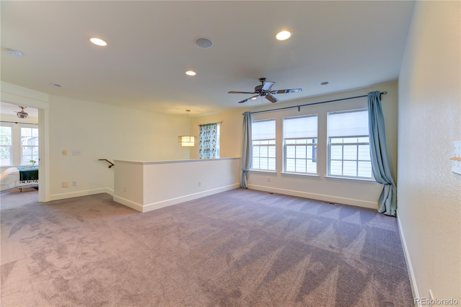 MLS Image #34 for 2830  emporia court,denver, Colorado