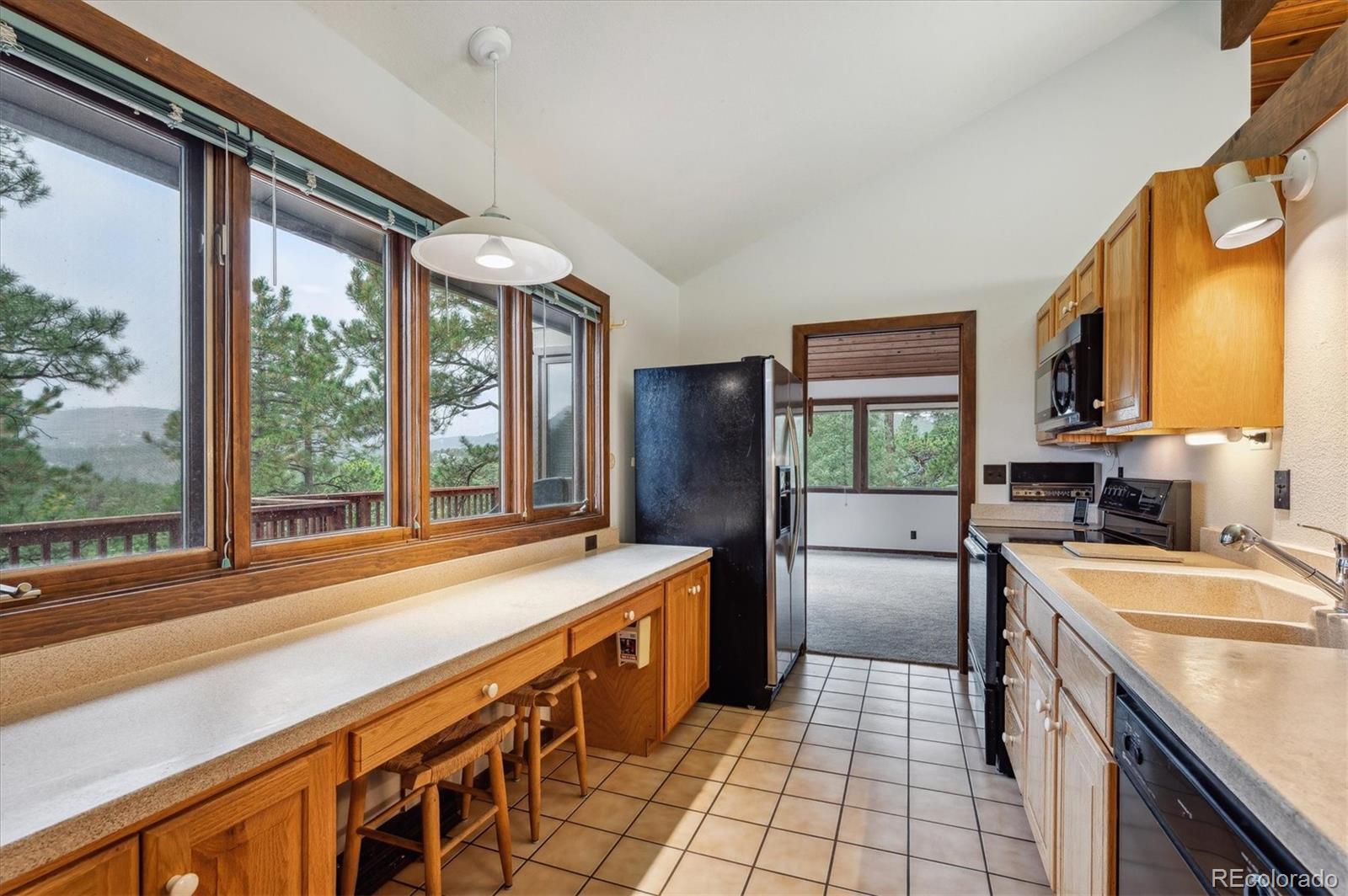 MLS Image #10 for 29027  clover lane,evergreen, Colorado