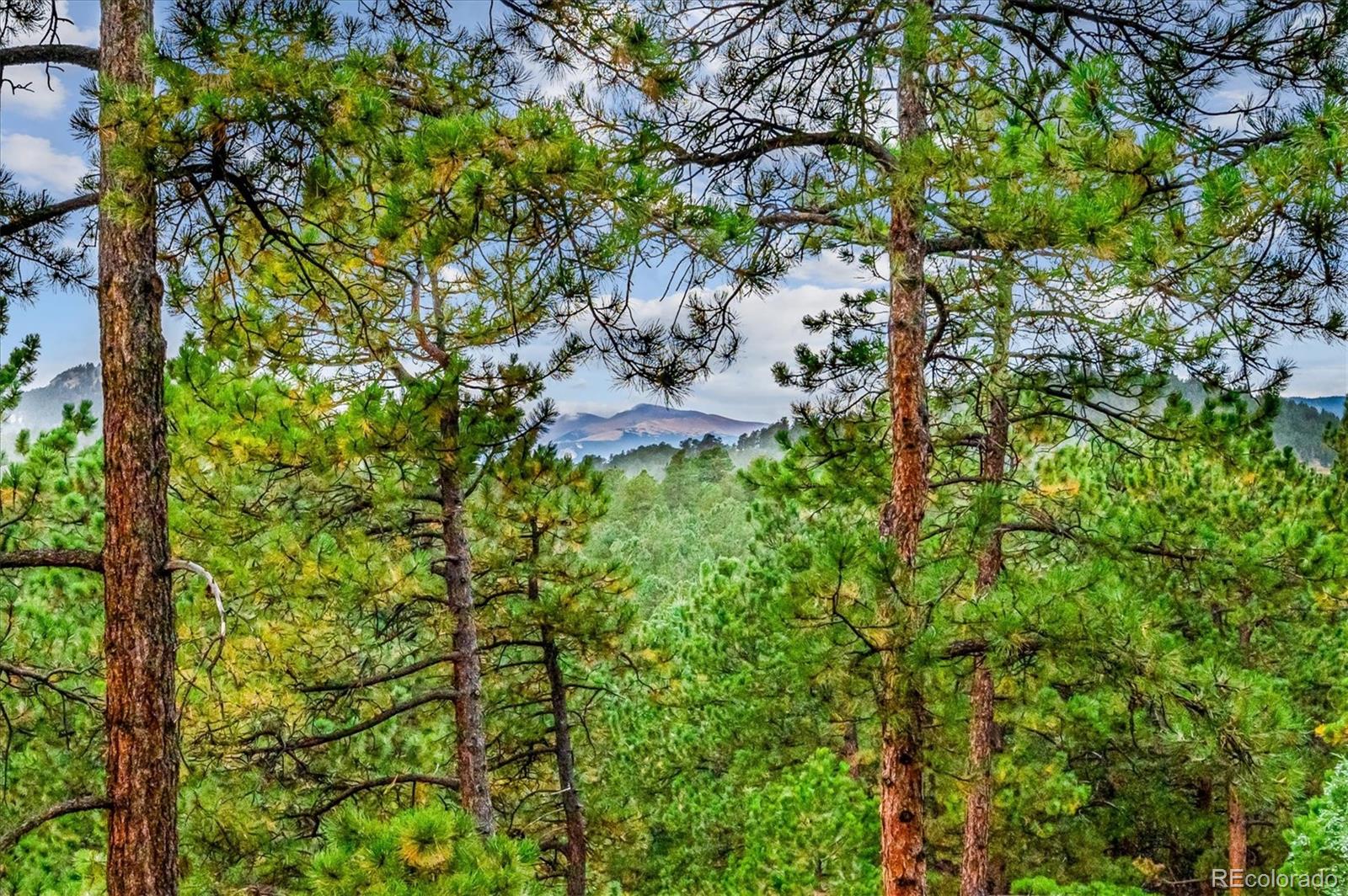 MLS Image #8 for 29027  clover lane,evergreen, Colorado