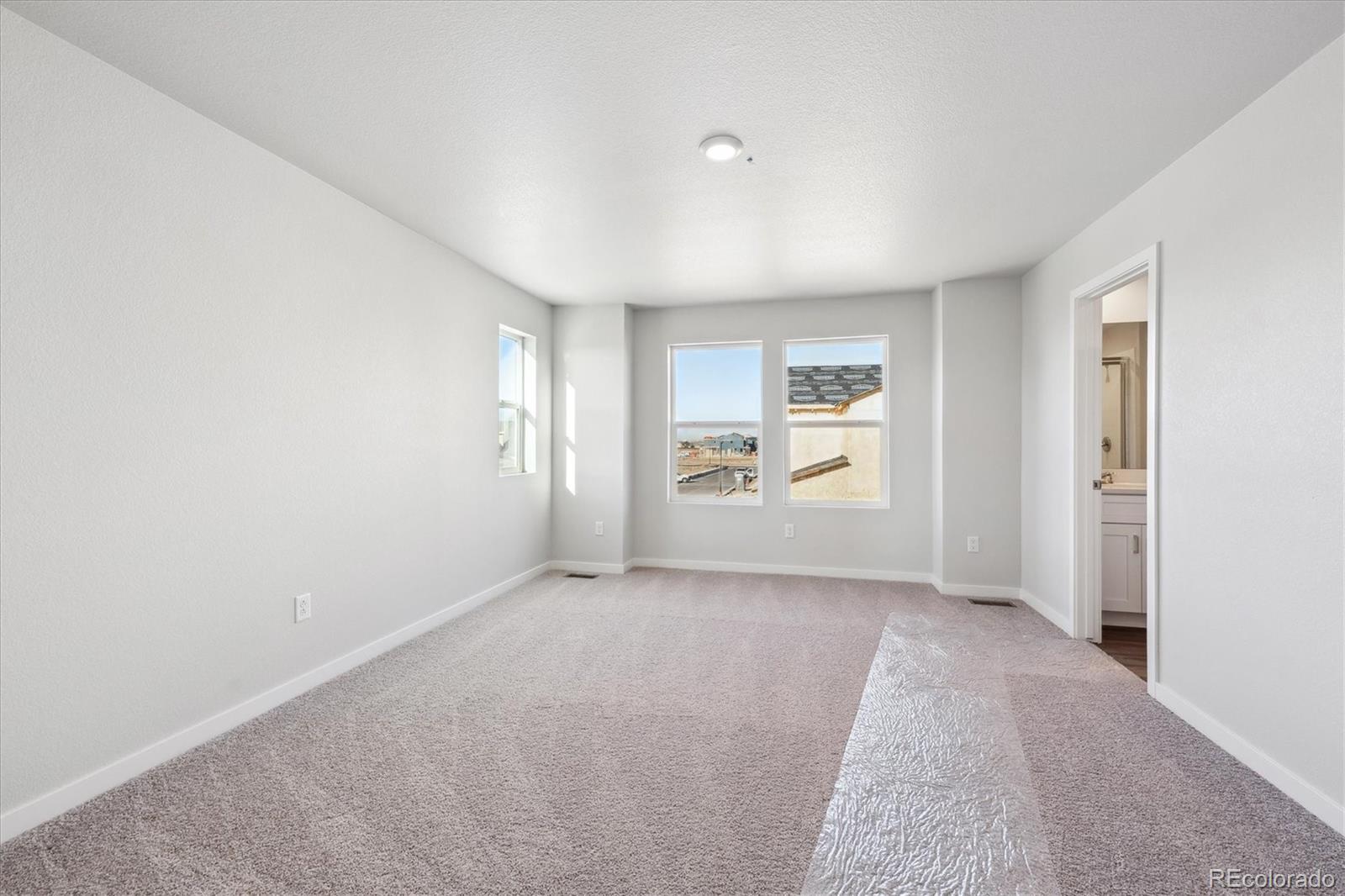 MLS Image #20 for 1273  bloom street,brighton, Colorado
