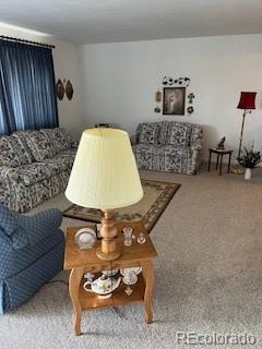 MLS Image #8 for 607 e thomas avenue,byers, Colorado