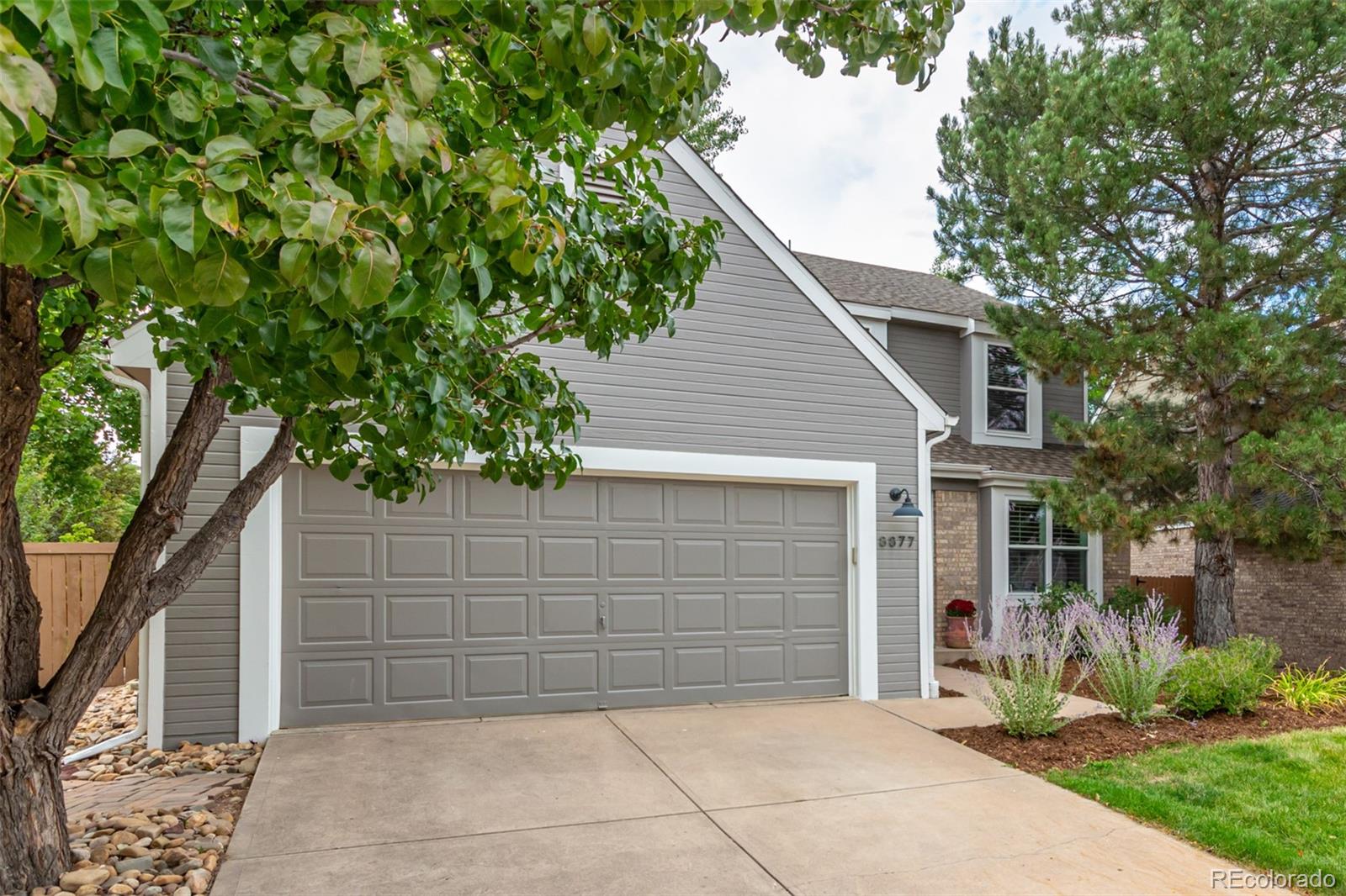 MLS Image #2 for 8877  cactus flower way,highlands ranch, Colorado