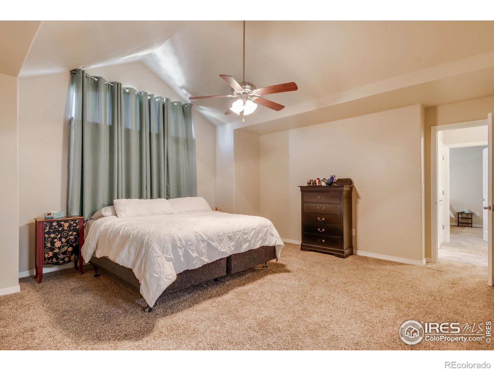 MLS Image #19 for 9007  harlequin circle,longmont, Colorado